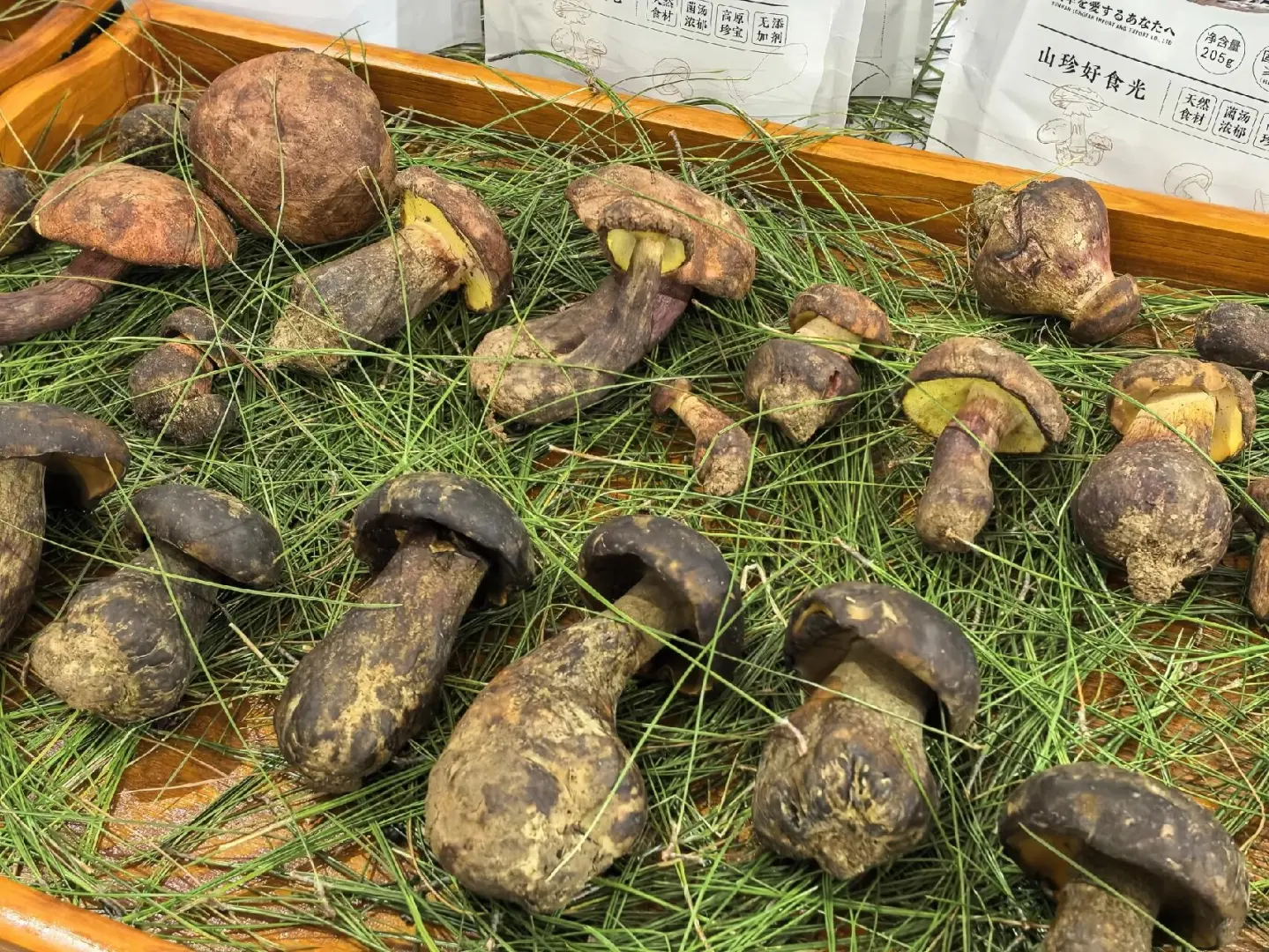 还有最后两天啦！速来