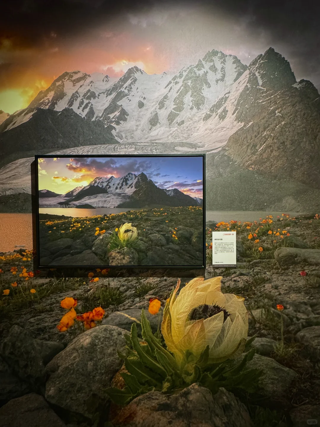 石家庄！很少用震撼形容一个展览……