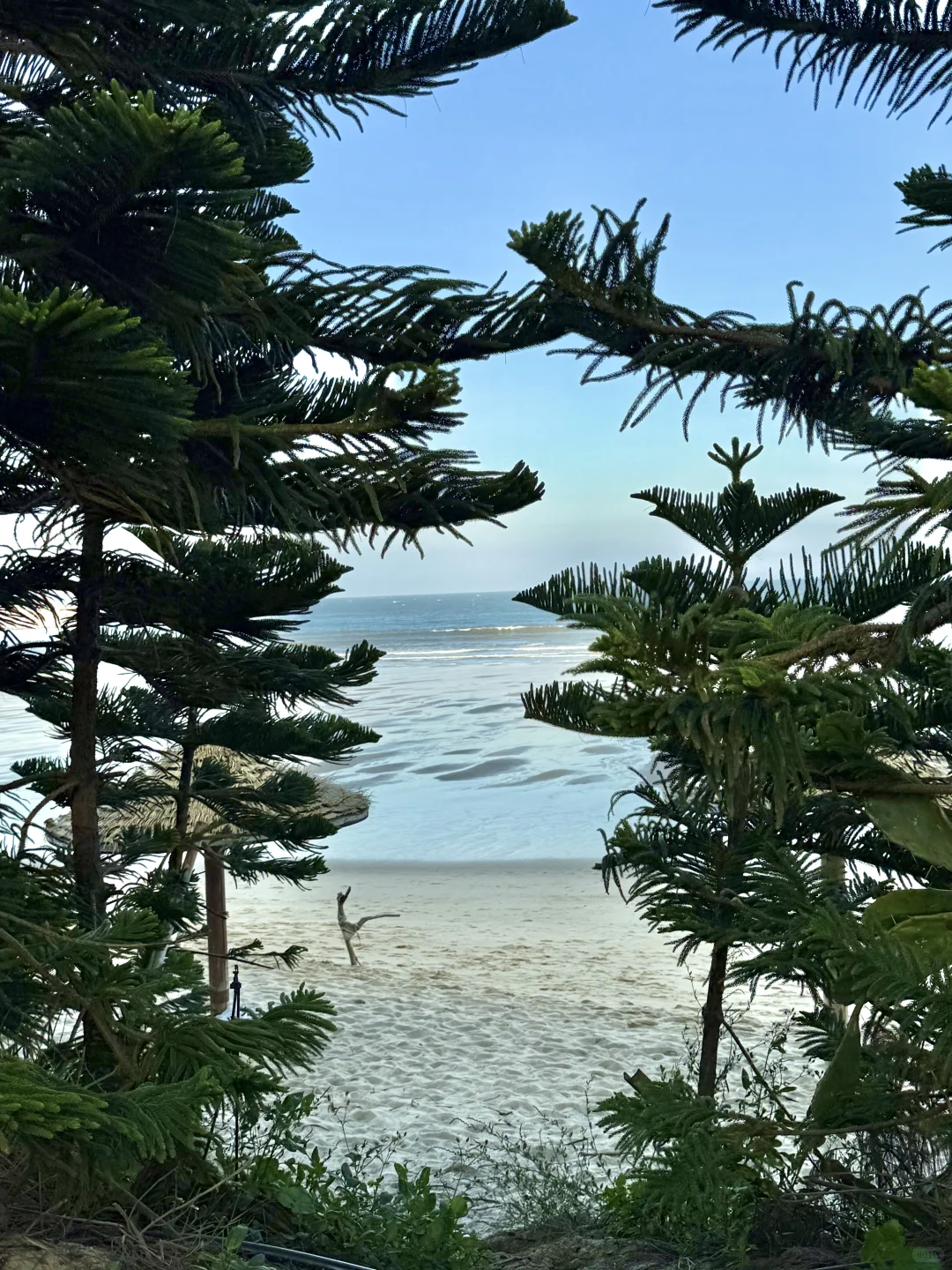 ? ?? ? ⭒˚ ? ? ???