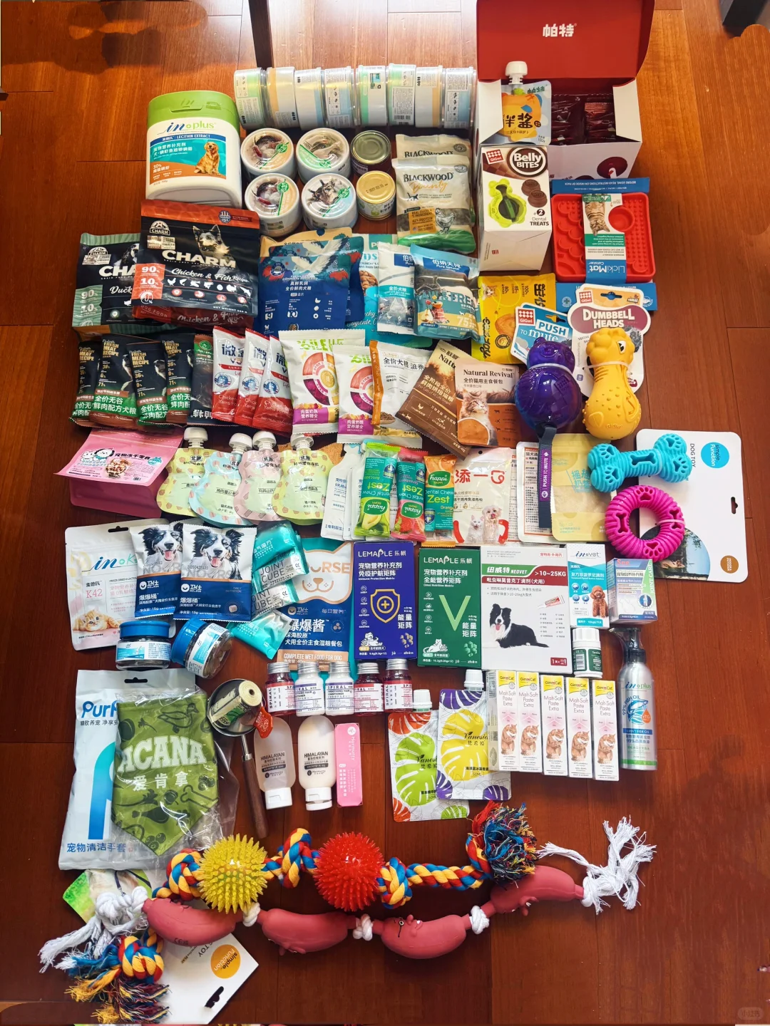 它博会｜打猎回来 附攻略