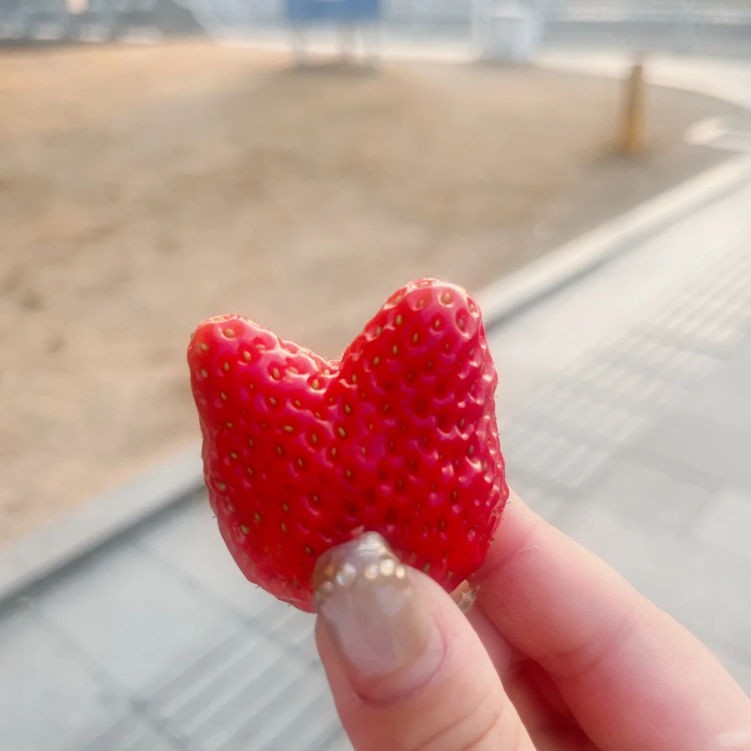 2025CiE美妆创新展