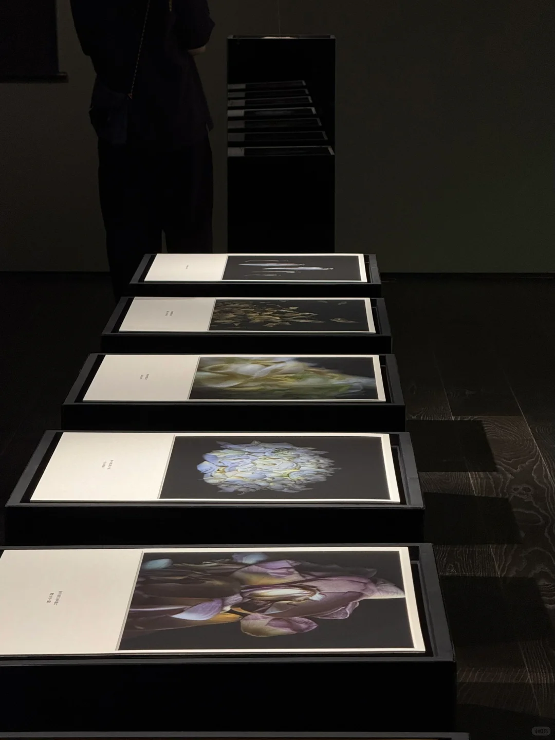 新展| 森冈书店×SIGMA