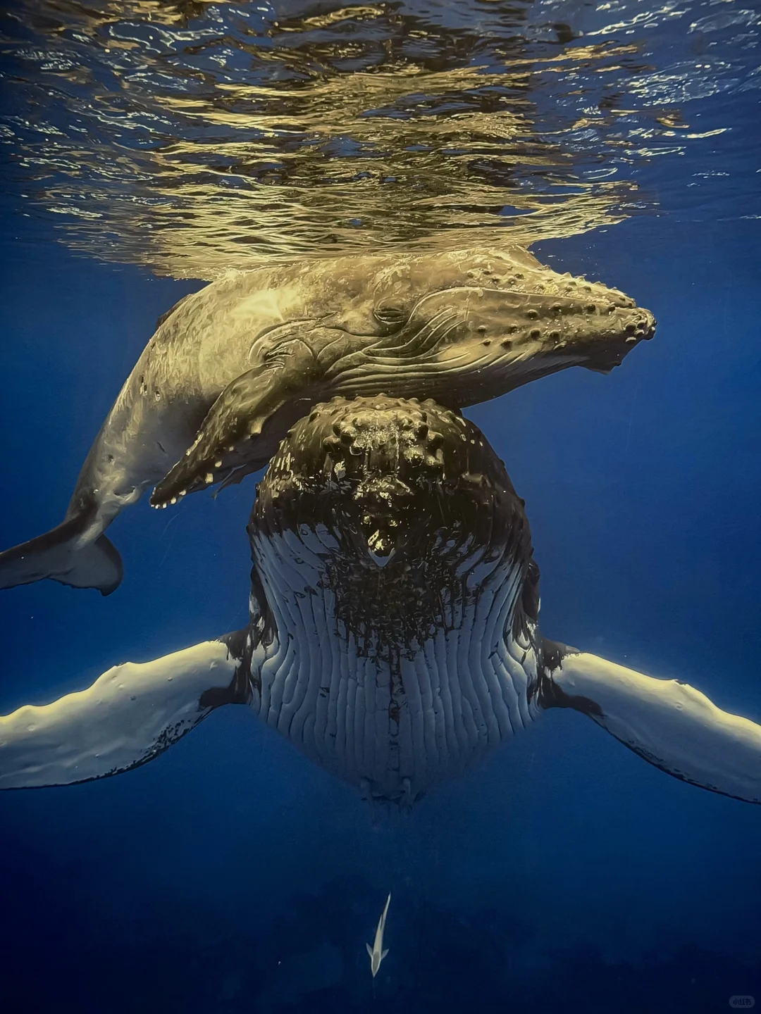 石家庄！很少用震撼形容一个展览……