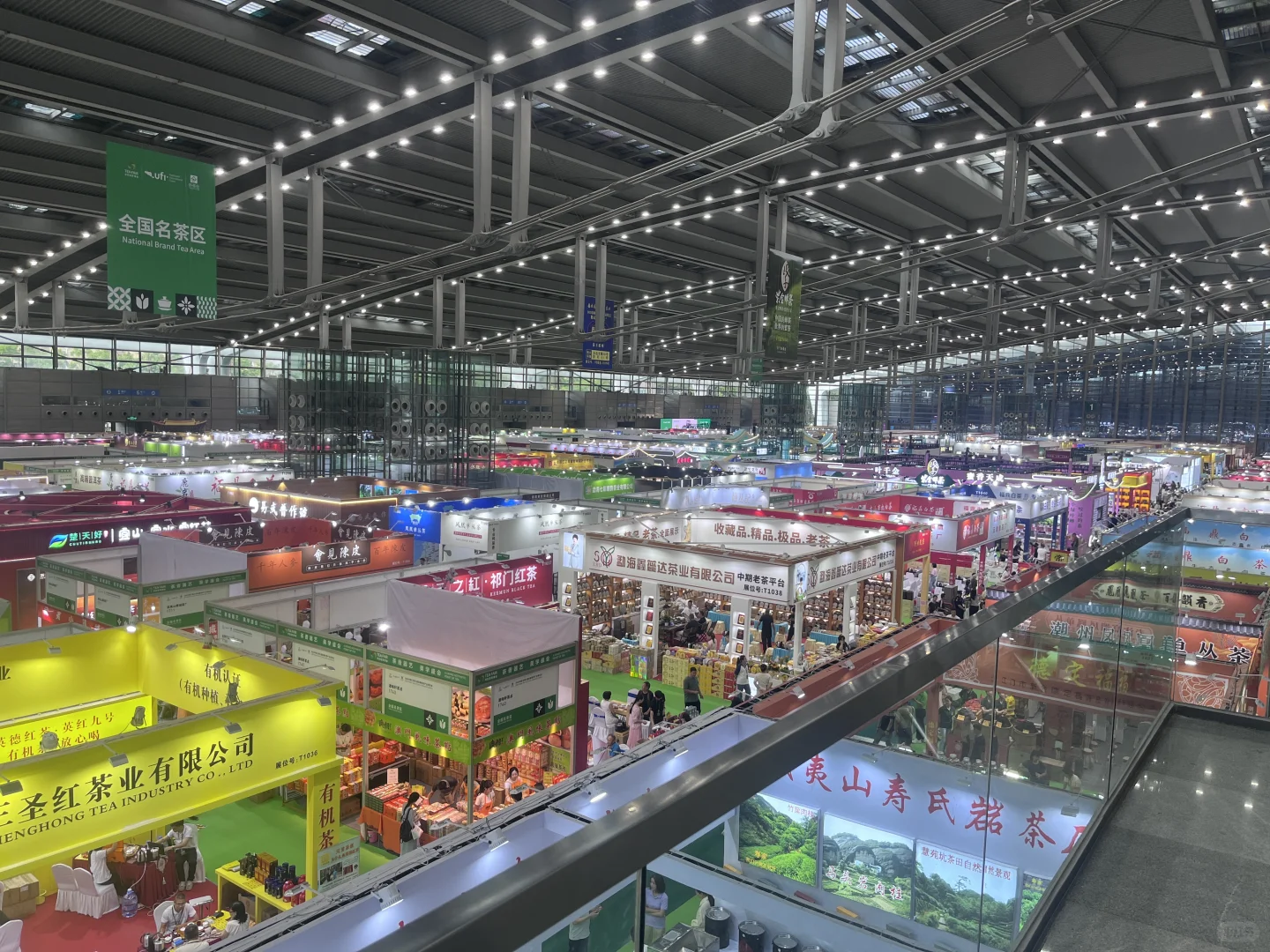 史上最惨的——2025年深圳春茶博会（一）
