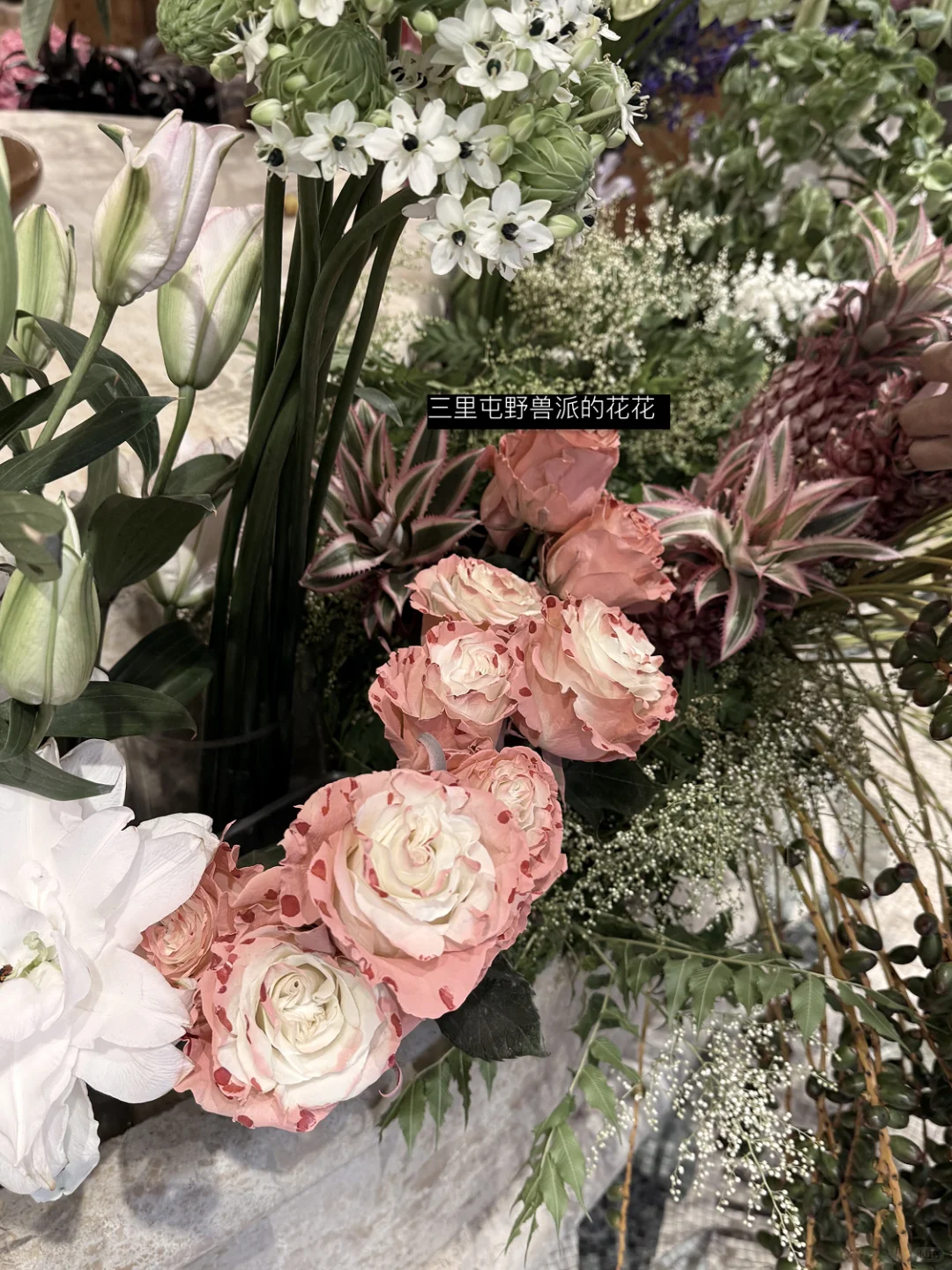 北京当代艺术博览会一日随拍plog：）