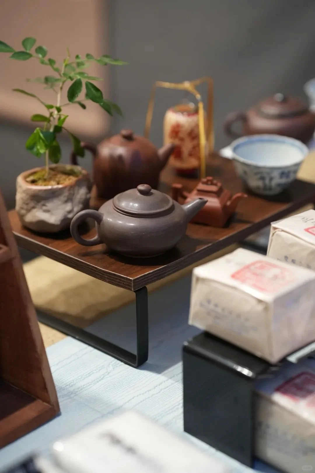 逛展攻略｜2025深圳春季茶博会