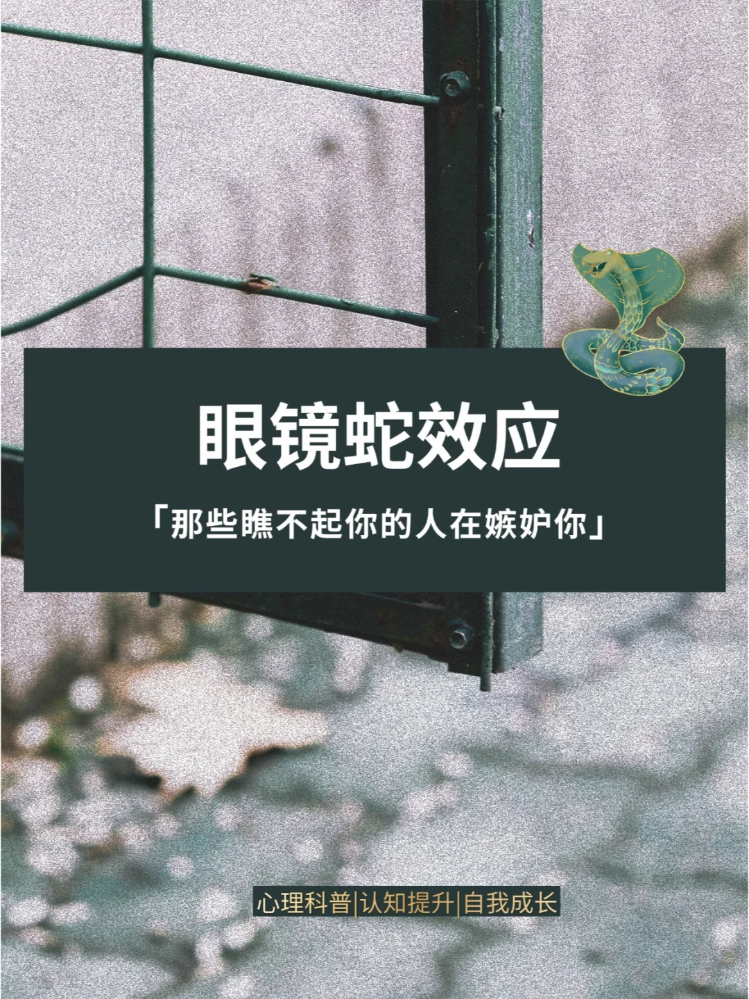 眼镜蛇效应|那些瞧不起你的人在嫉妒你
