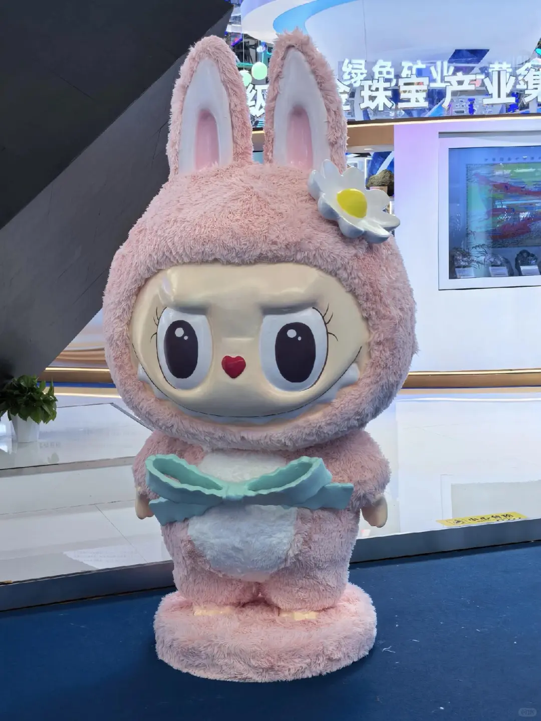 还有最后两天啦！速来