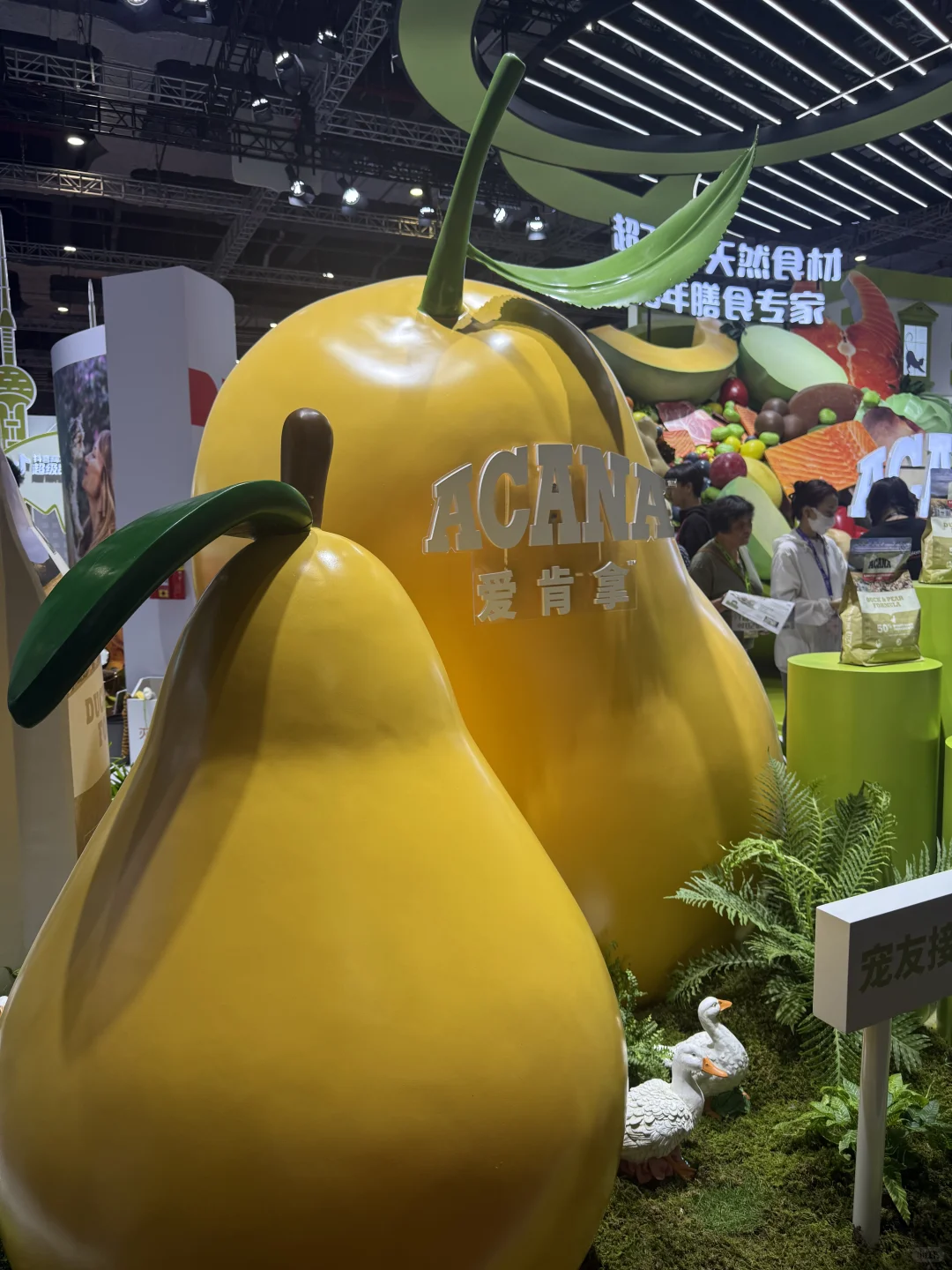 它博会｜打猎回来 附攻略