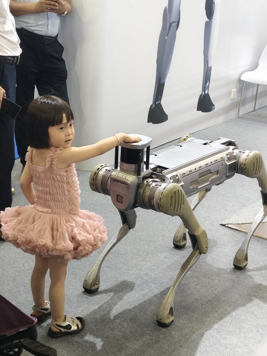 【全球好物齐聚临沂！第四届RCEP区域（山东