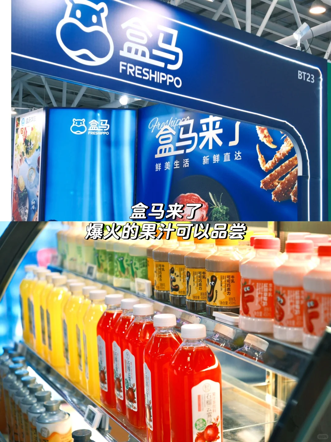 临沂进博会第一天?来国际大集免费逛吃