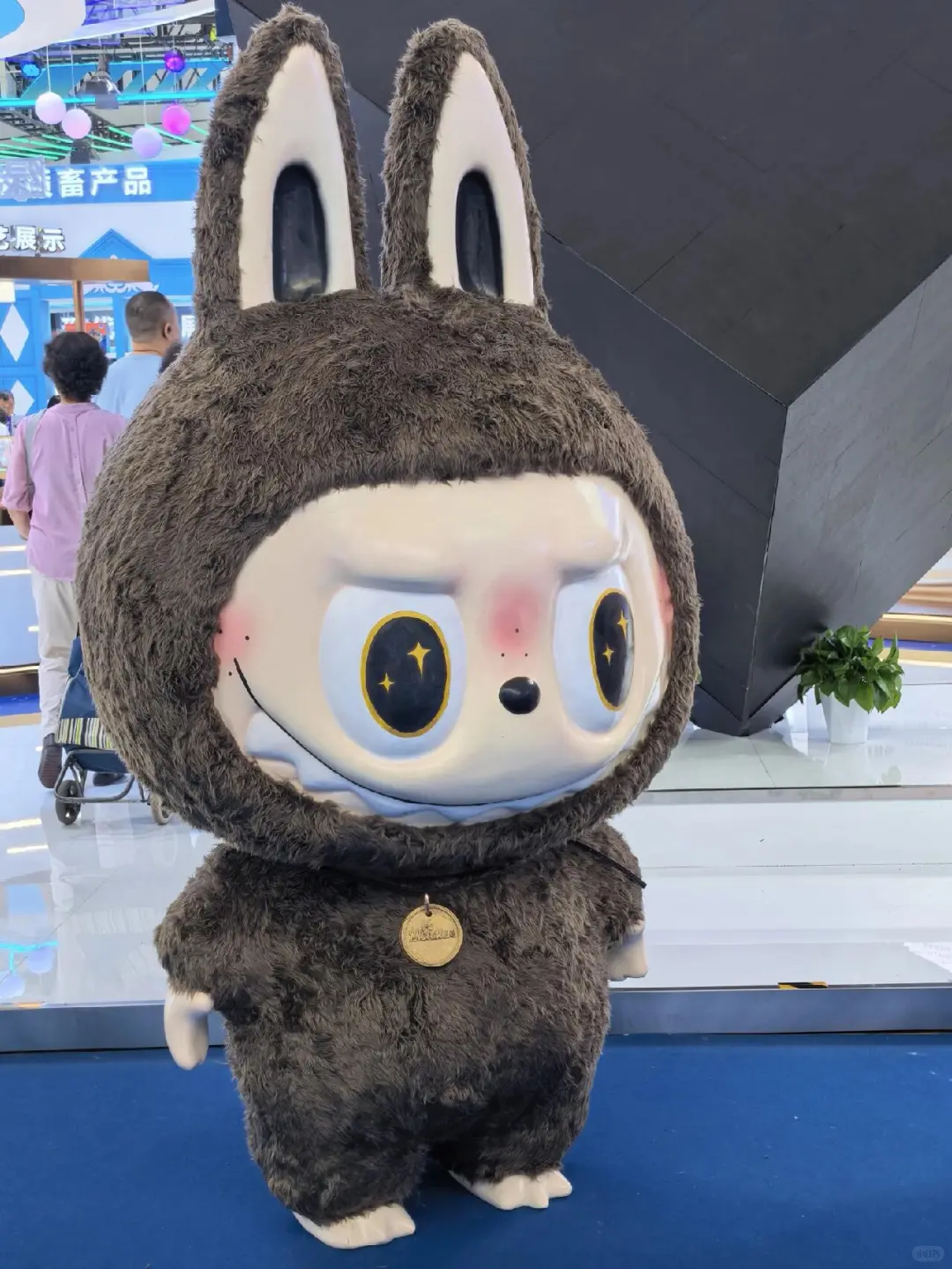 还有最后两天啦！速来