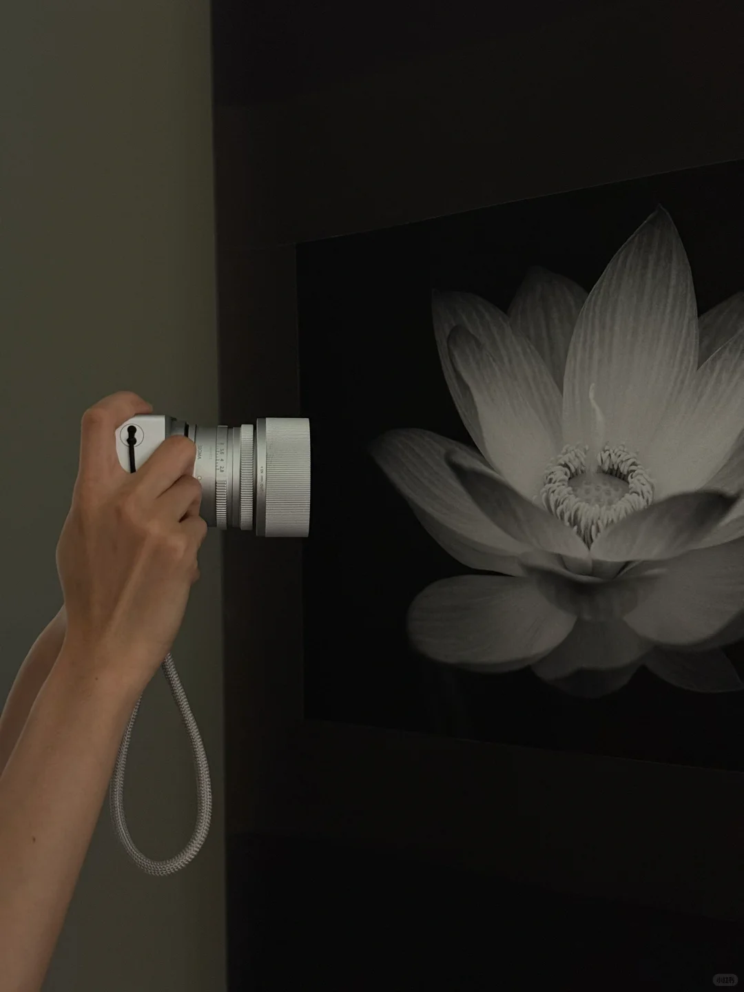 新展| 森冈书店×SIGMA