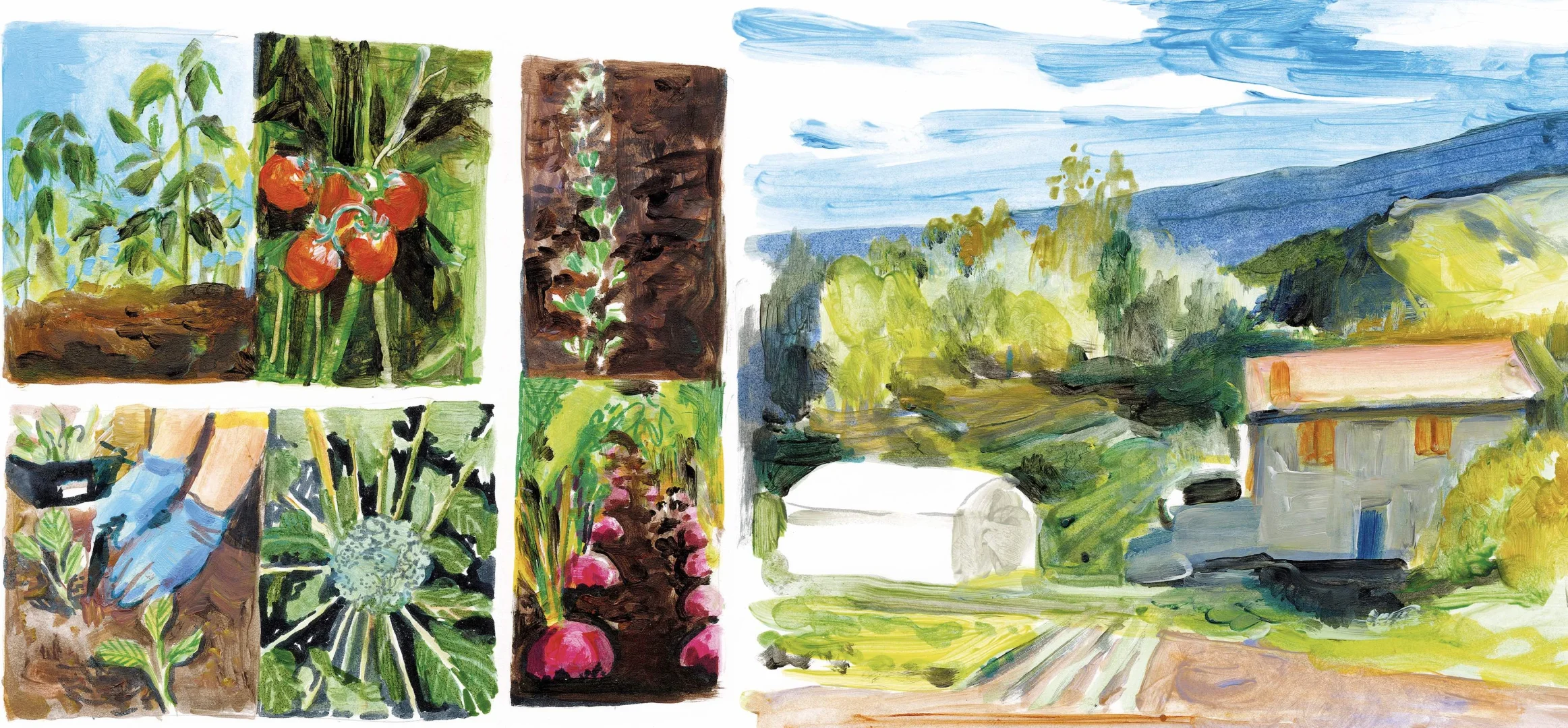 意大利绘本 Zappe, stivali e rastrelli?️