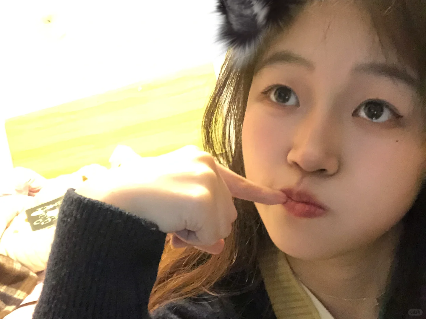 嗯...如果你追我的话