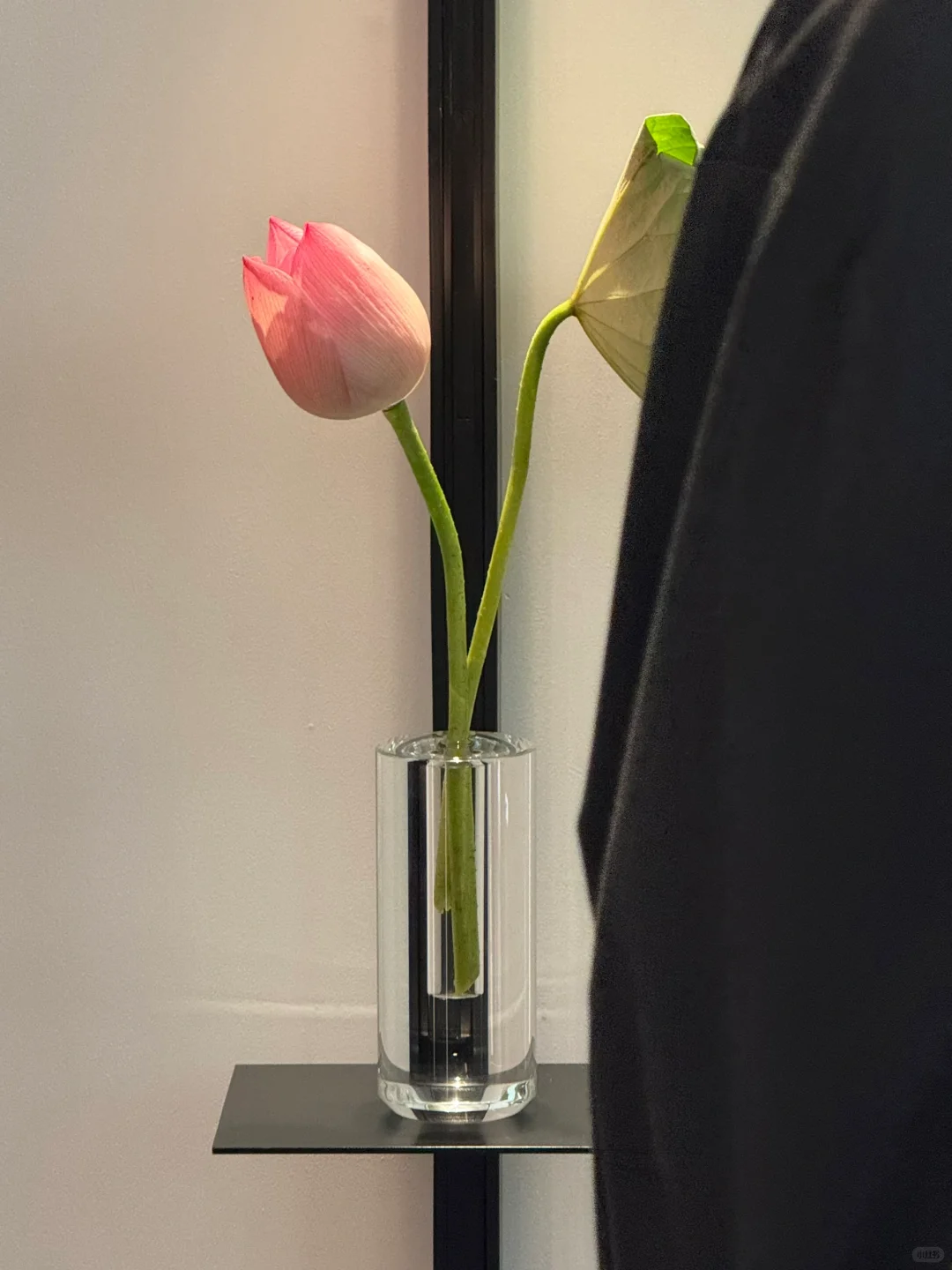 新展| 森冈书店×SIGMA