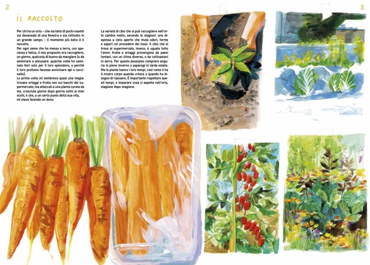 意大利绘本 Zappe, stivali e rastrelli?️