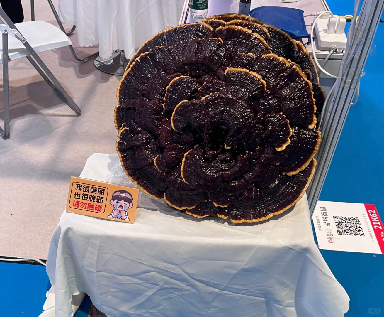 不要去国家会展中心看展了，有团伙骗子！！