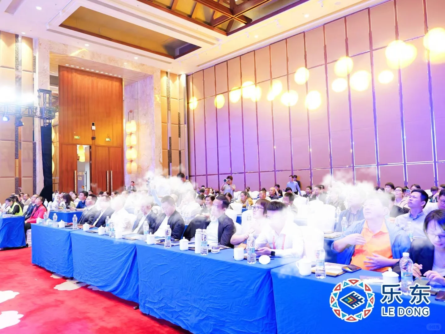 主持 | 乐东招商会的温暖邂逅✨