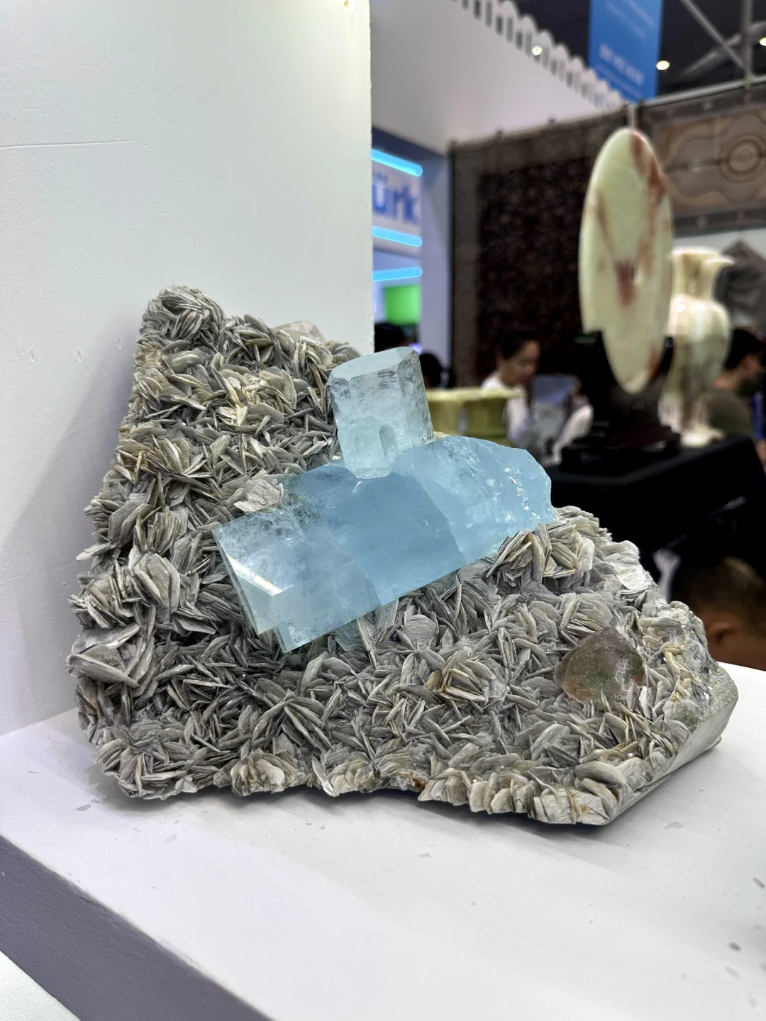 亚欧博览会最挤的地方是冻芒果柜台吗