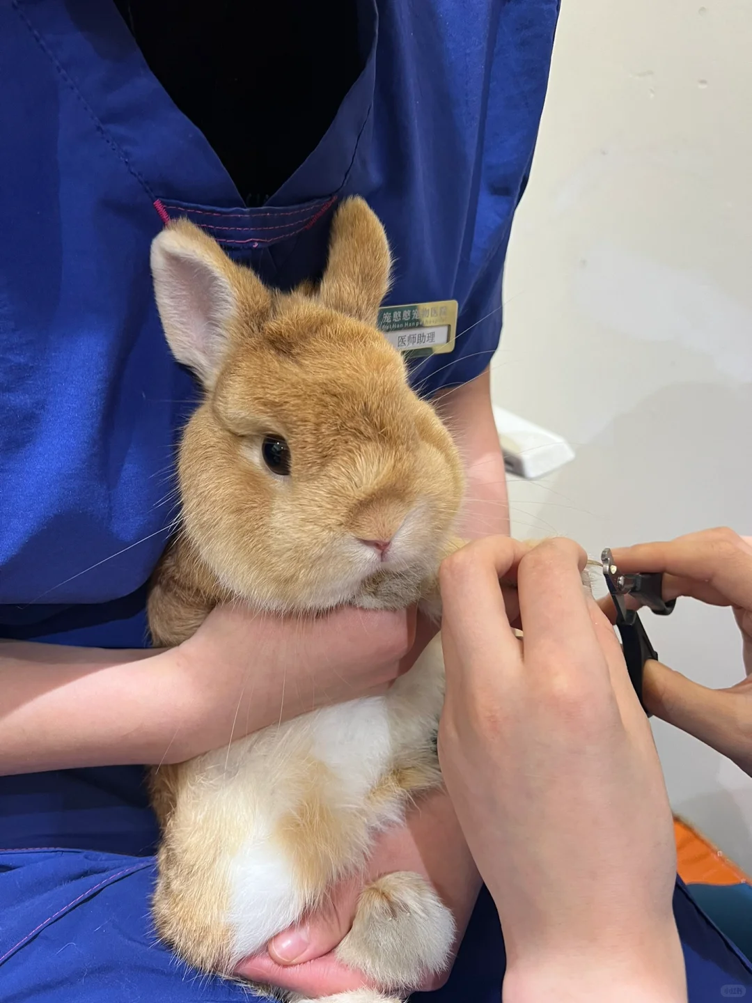 单身中年少女的爱好