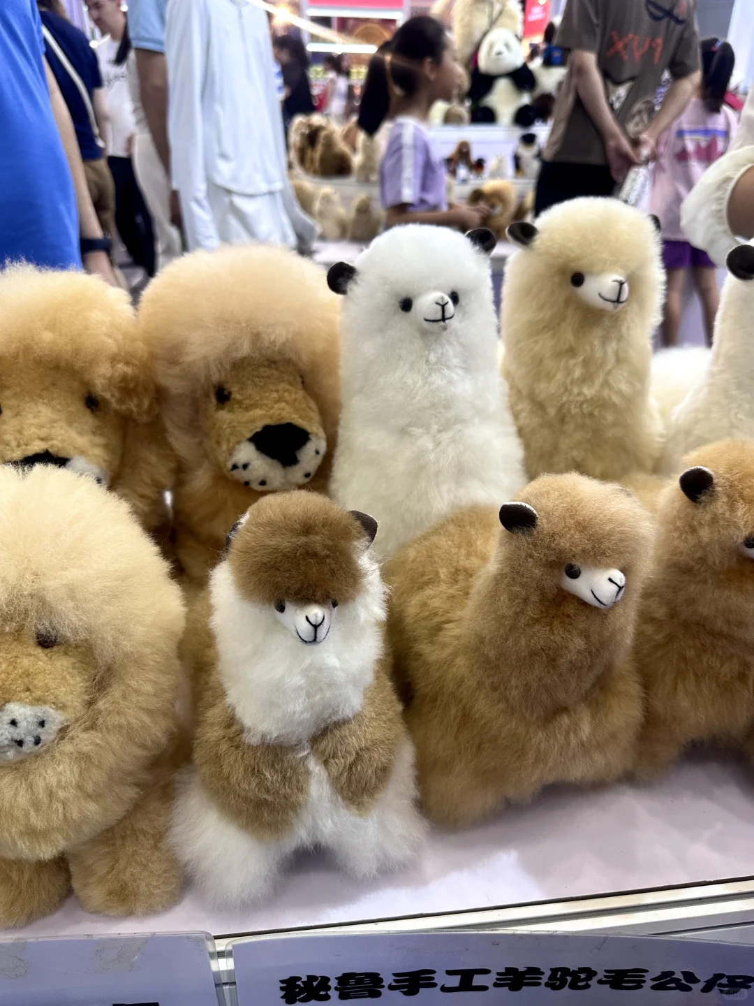 亚欧博览会最挤的地方是冻芒果柜台吗