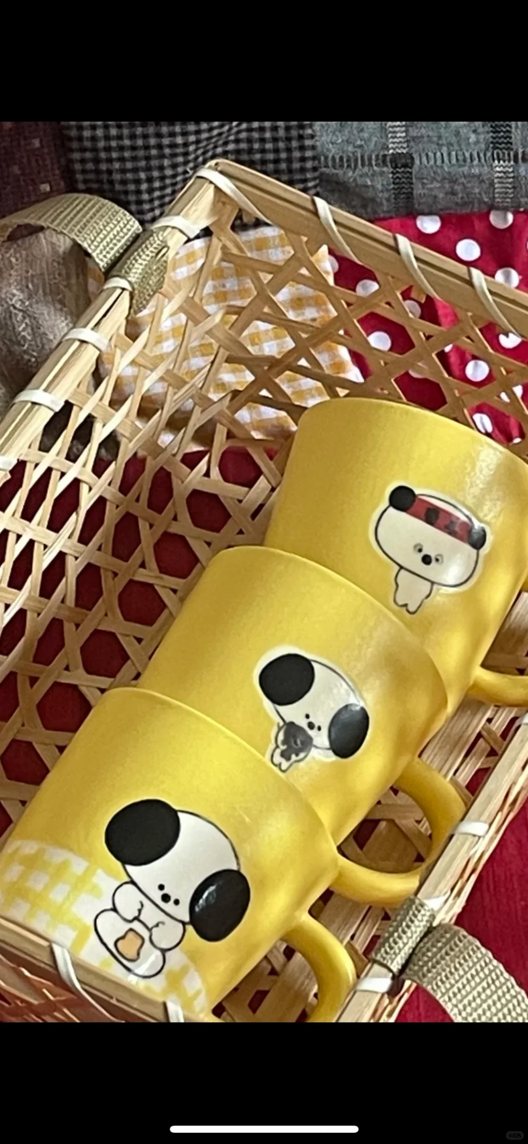 报名参加游游个展