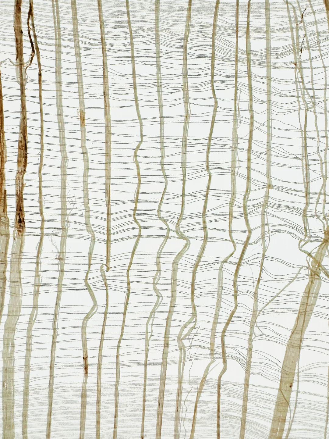 设计上海3小时，两个半小时在逛材料展