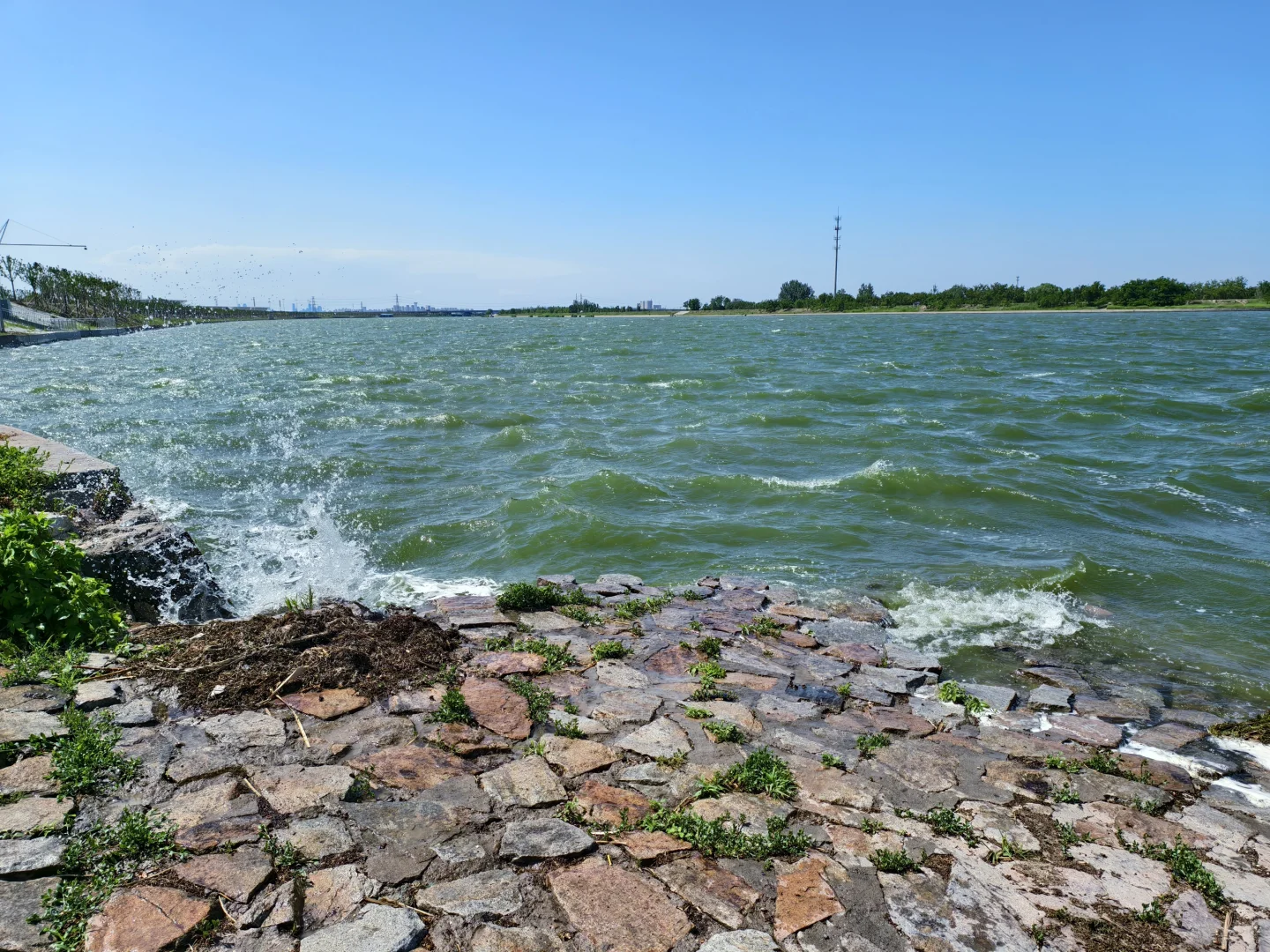 喜欢夏天带来的湖风～