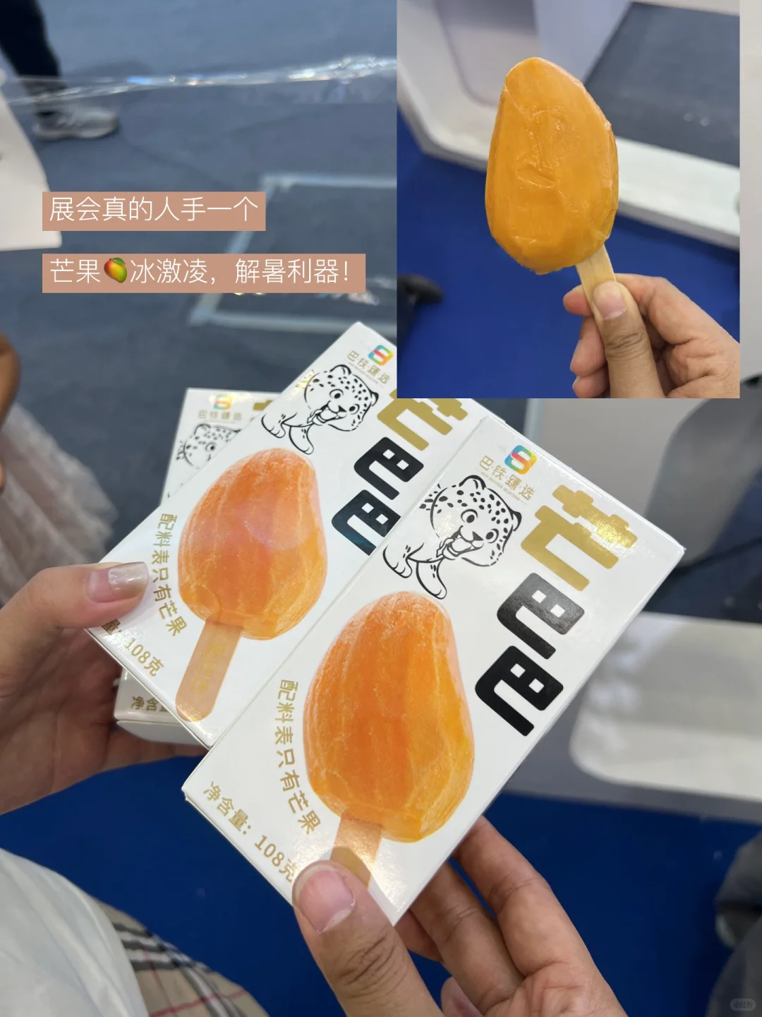 亚欧博览会参展体验