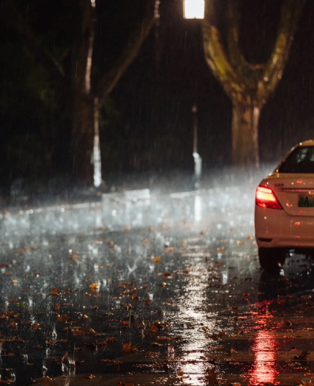 TK欧洲POP招商-雨中滨江畔解锁欧洲热动力☔
