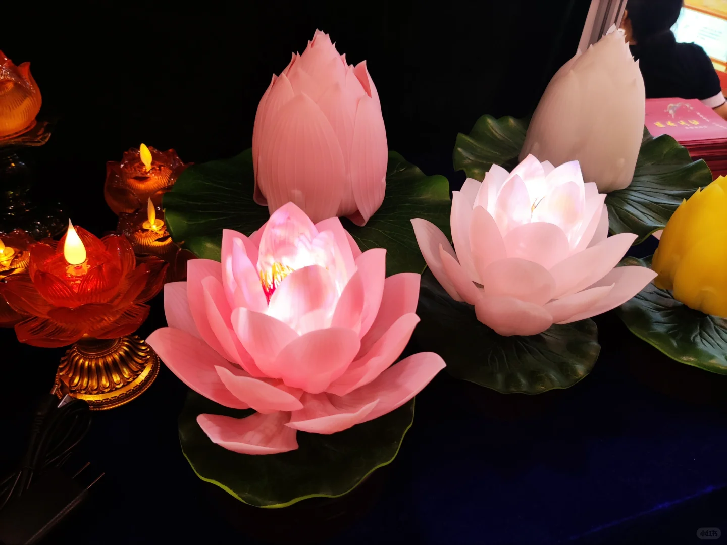 看一看，逝一逝，逛殡葬博览会