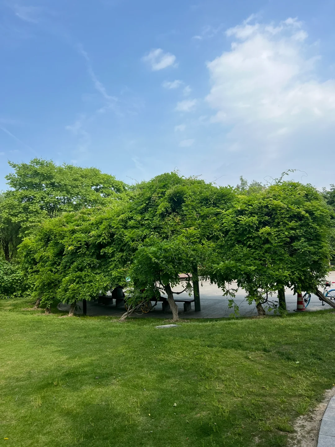 单身中年少女的爱好