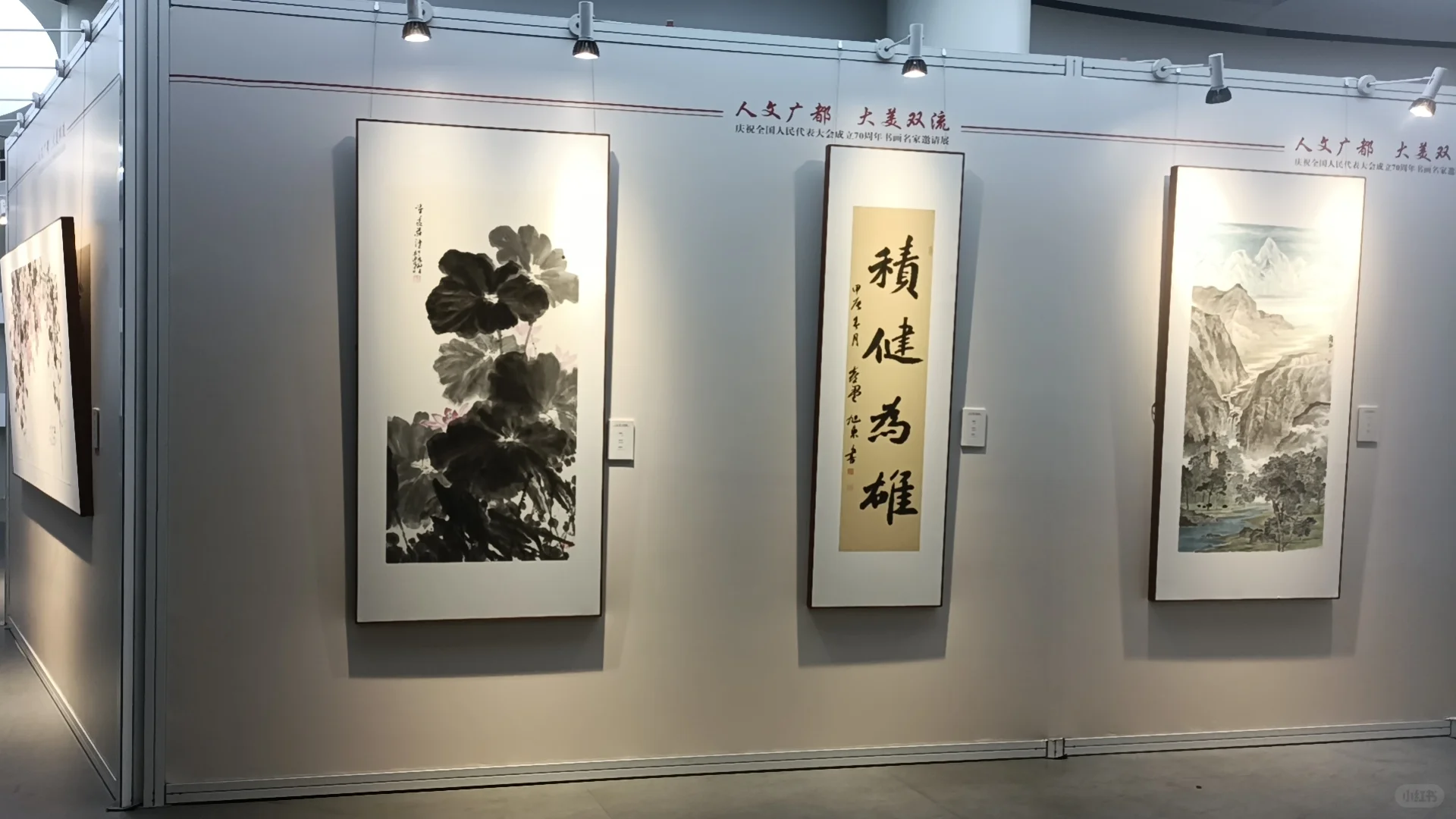 成都无缝展墙 ?无柱展墙安装搭建租赁