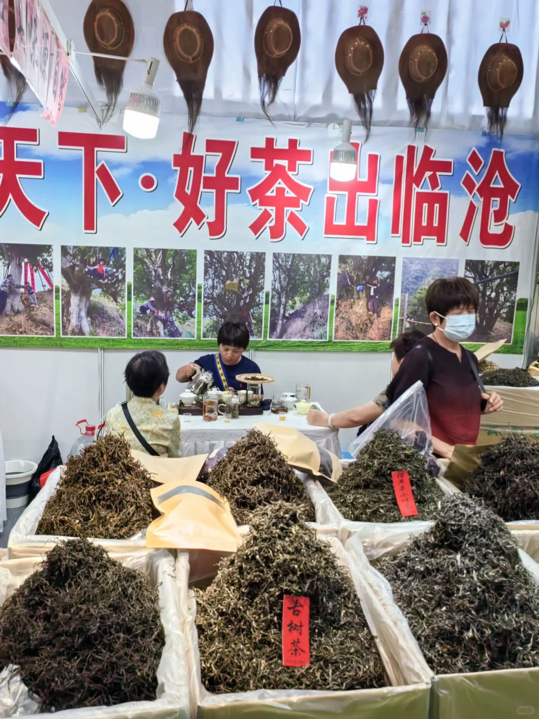 品茶逛吃深圳茶博会