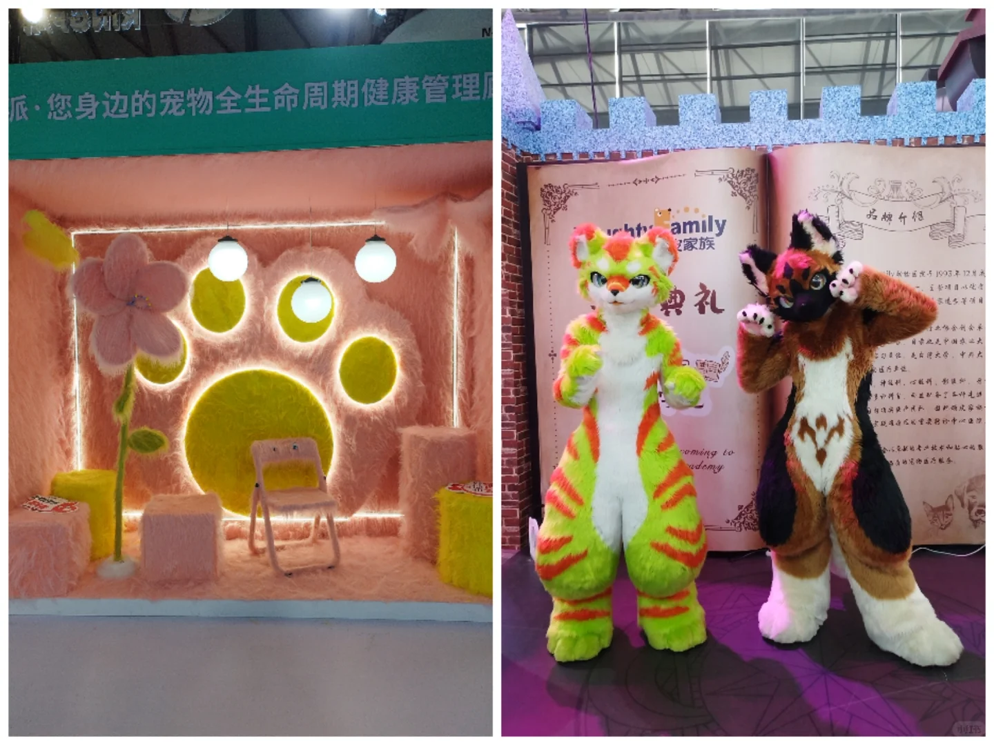 亚宠展 | 宠物界的狂欢盛宴