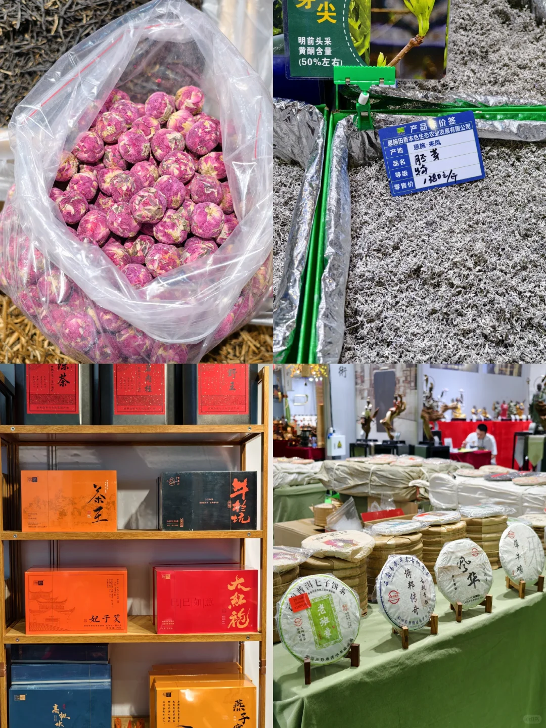 深圳会展中心茶博会免费逛喝茶