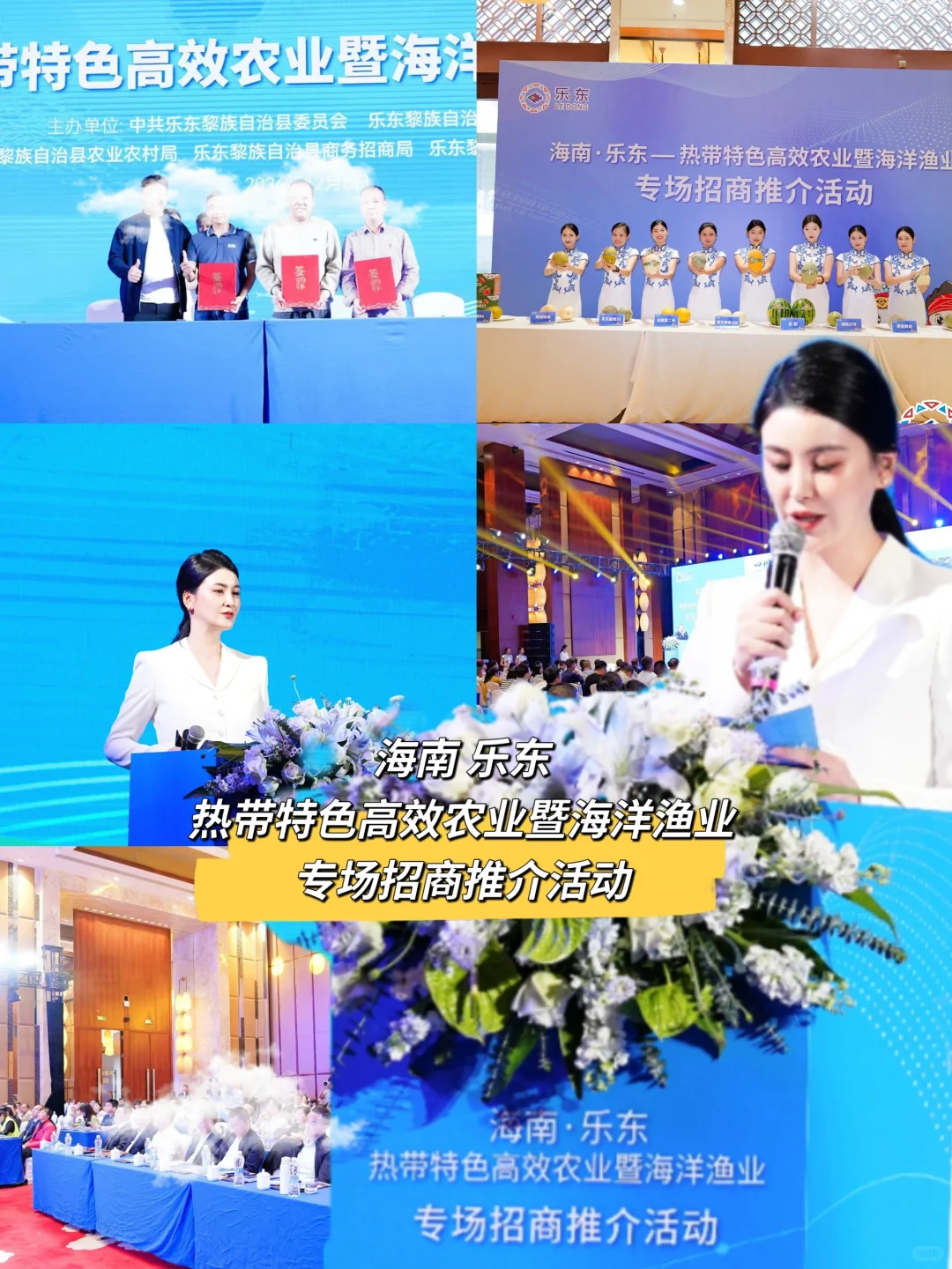 主持 | 乐东招商会的温暖邂逅✨