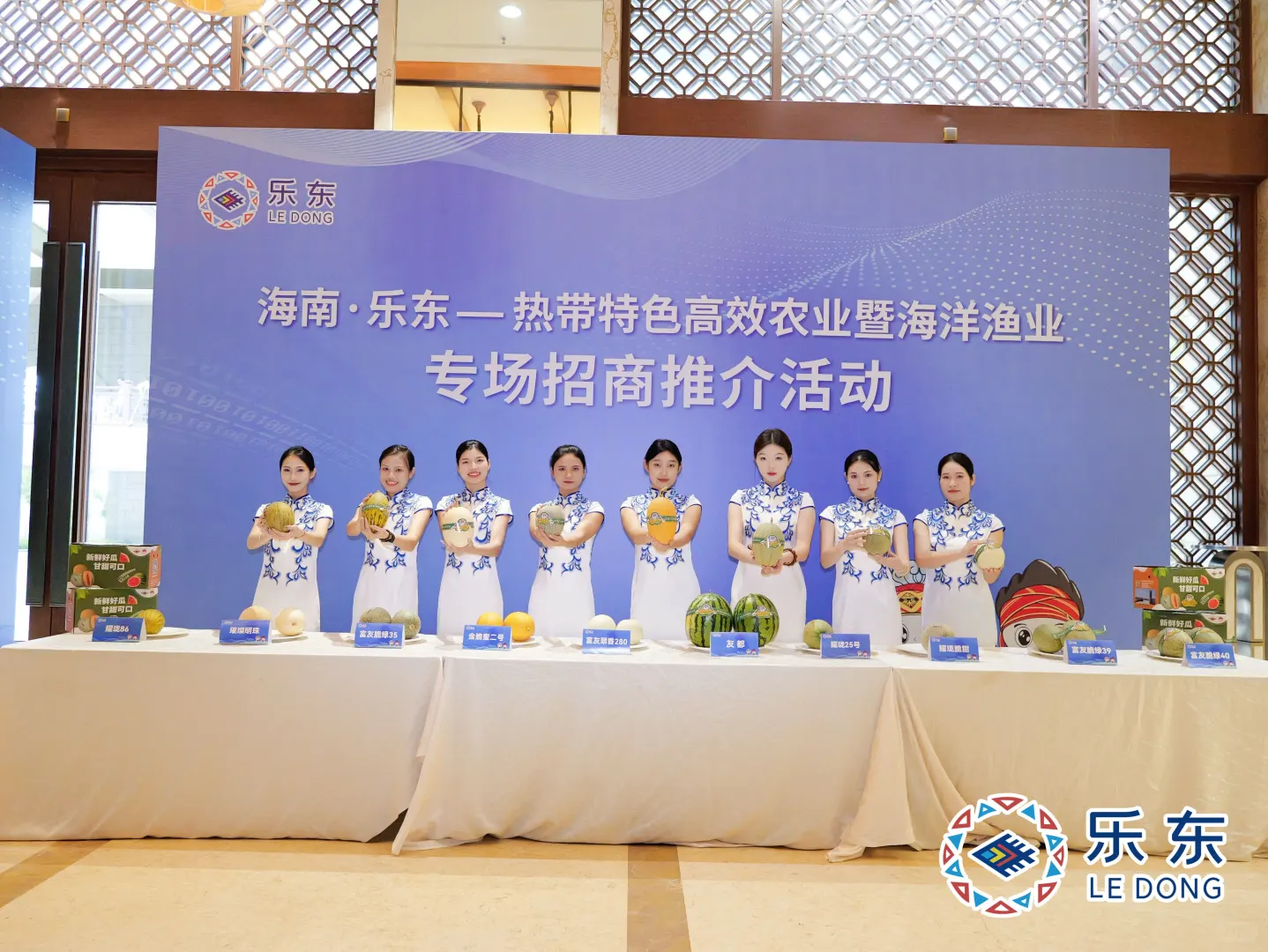 主持 | 乐东招商会的温暖邂逅✨