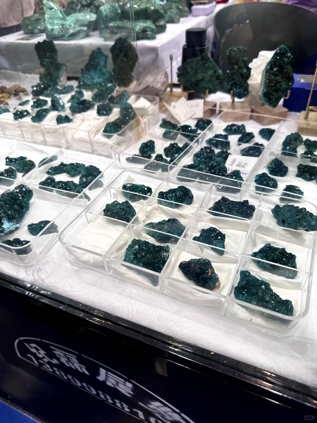 亚欧博览会最挤的地方是冻芒果柜台吗