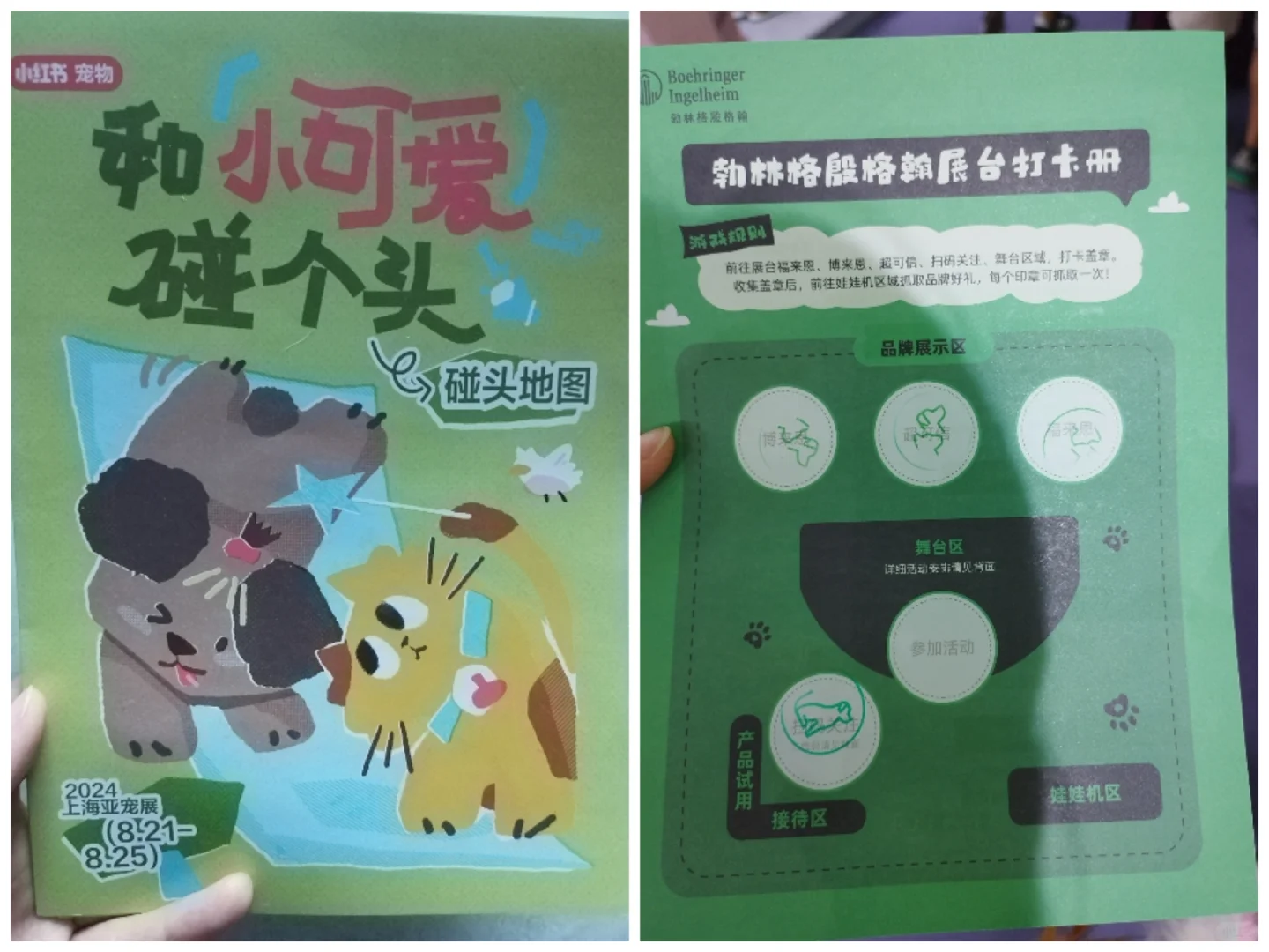 亚宠展 | 宠物界的狂欢盛宴