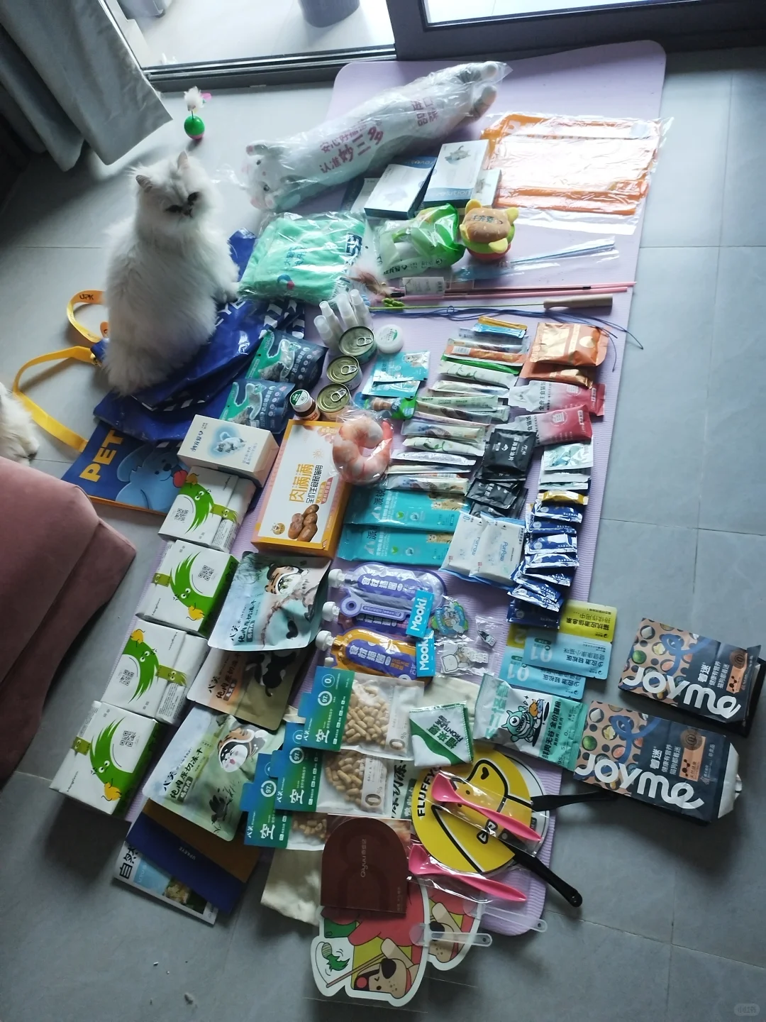 亚宠展 | 宠物界的狂欢盛宴