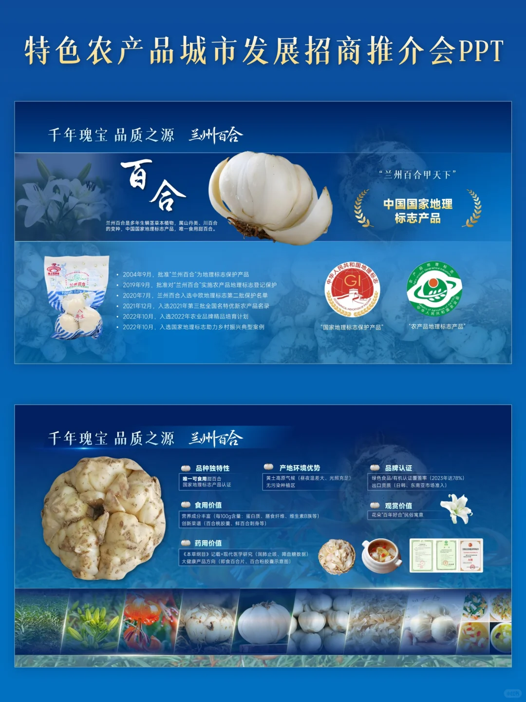 城市招商特色农产品产业发展招商推介会PPT