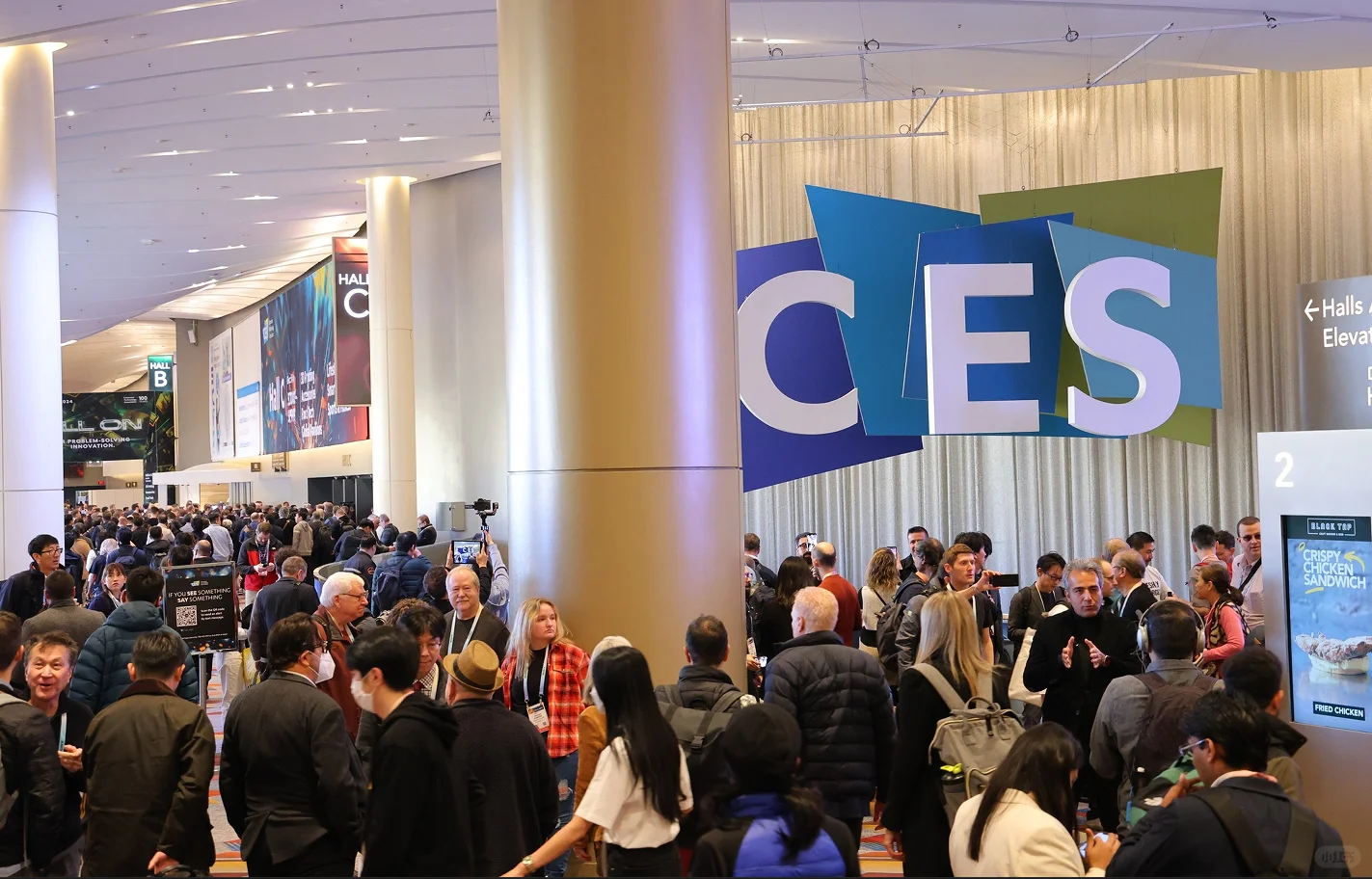 美国拉斯维加斯消费电子展览会（CES）