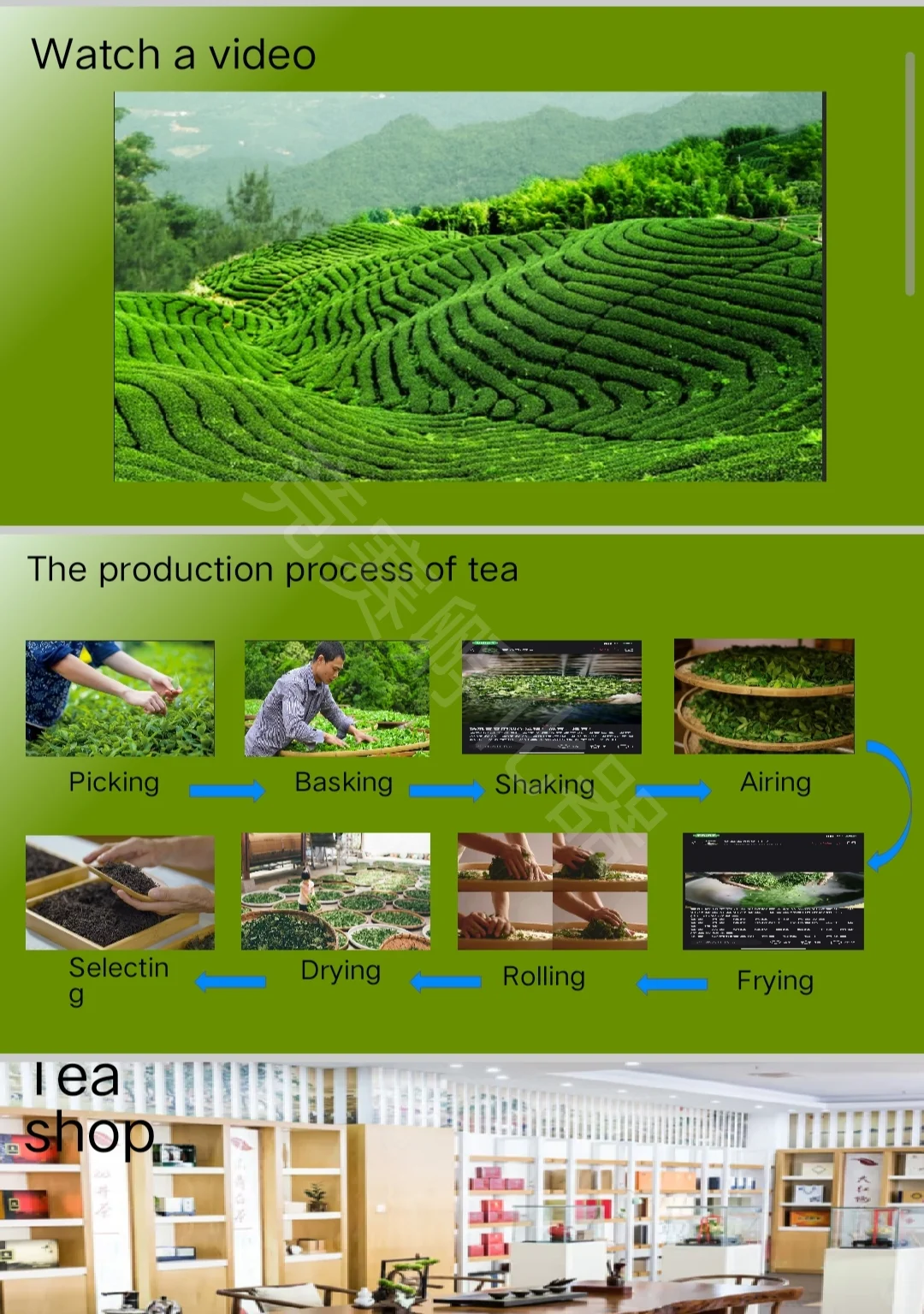 国际贸易竞赛业务模拟赛道国一策划案分享