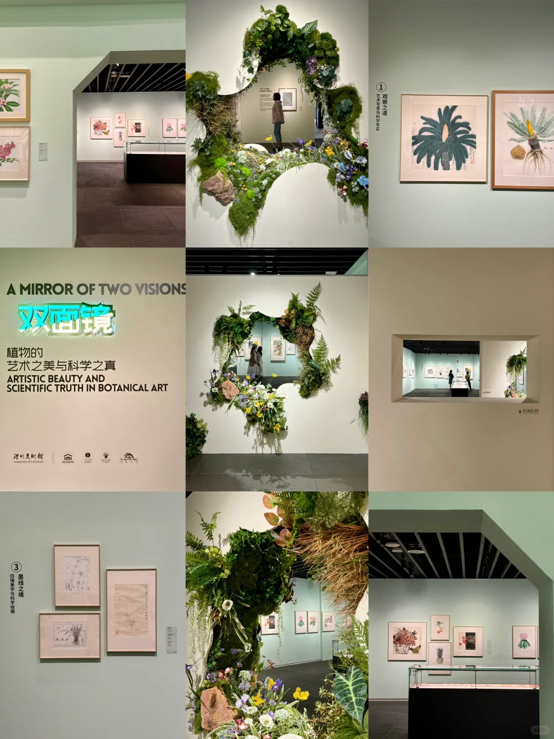 深圳新展！植物的美好香气，隔着屏幕都闻到了