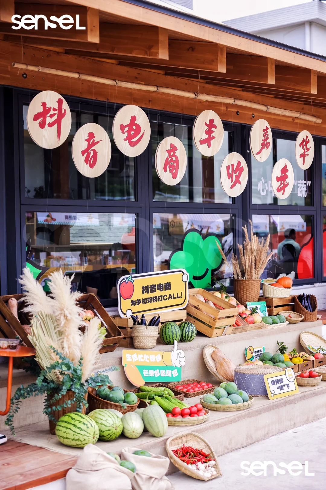 攀枝花案例|抖音电商丰收嘉年华