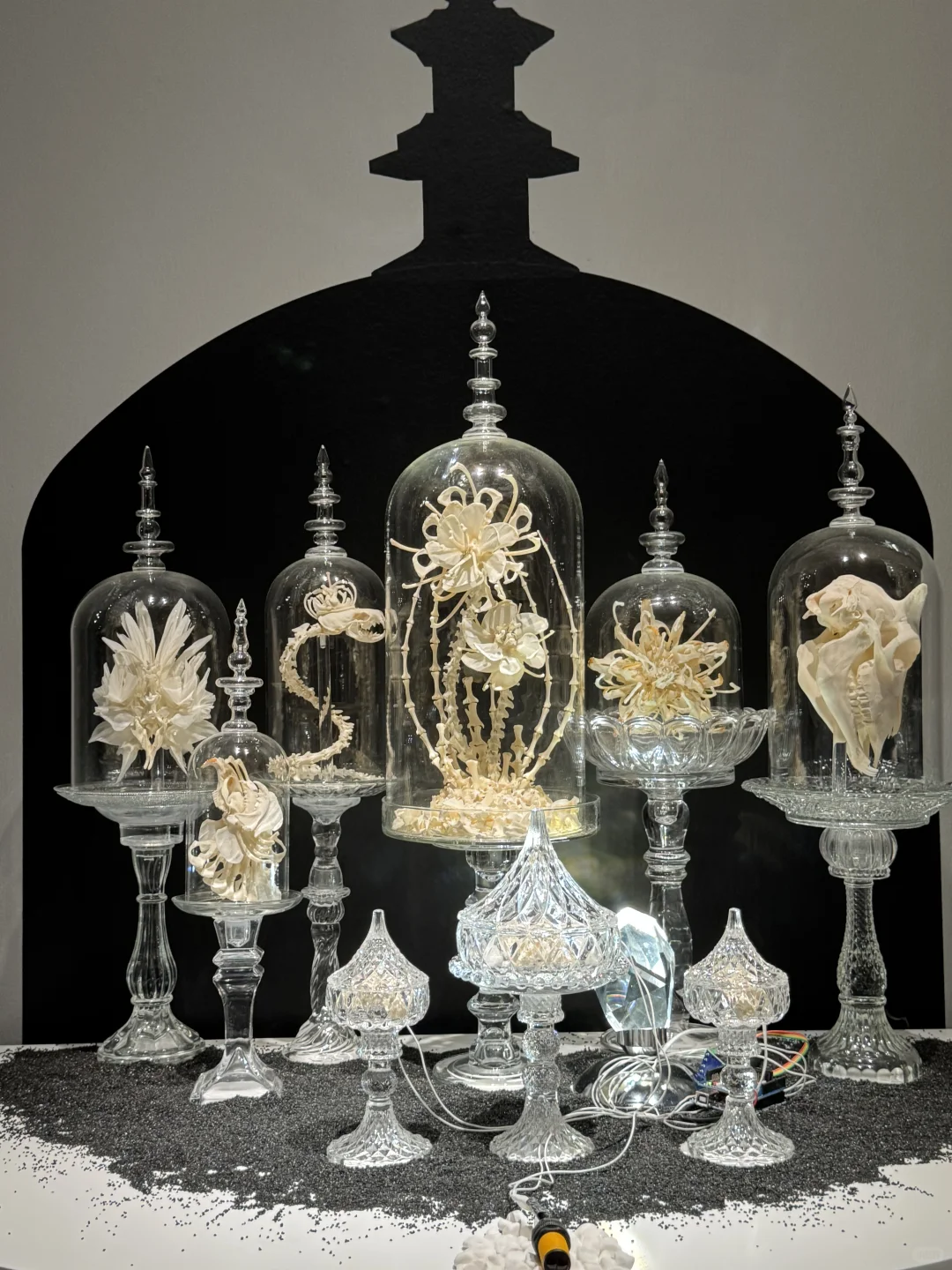 央美毕业设计展day1｜逐光而行 与光同行