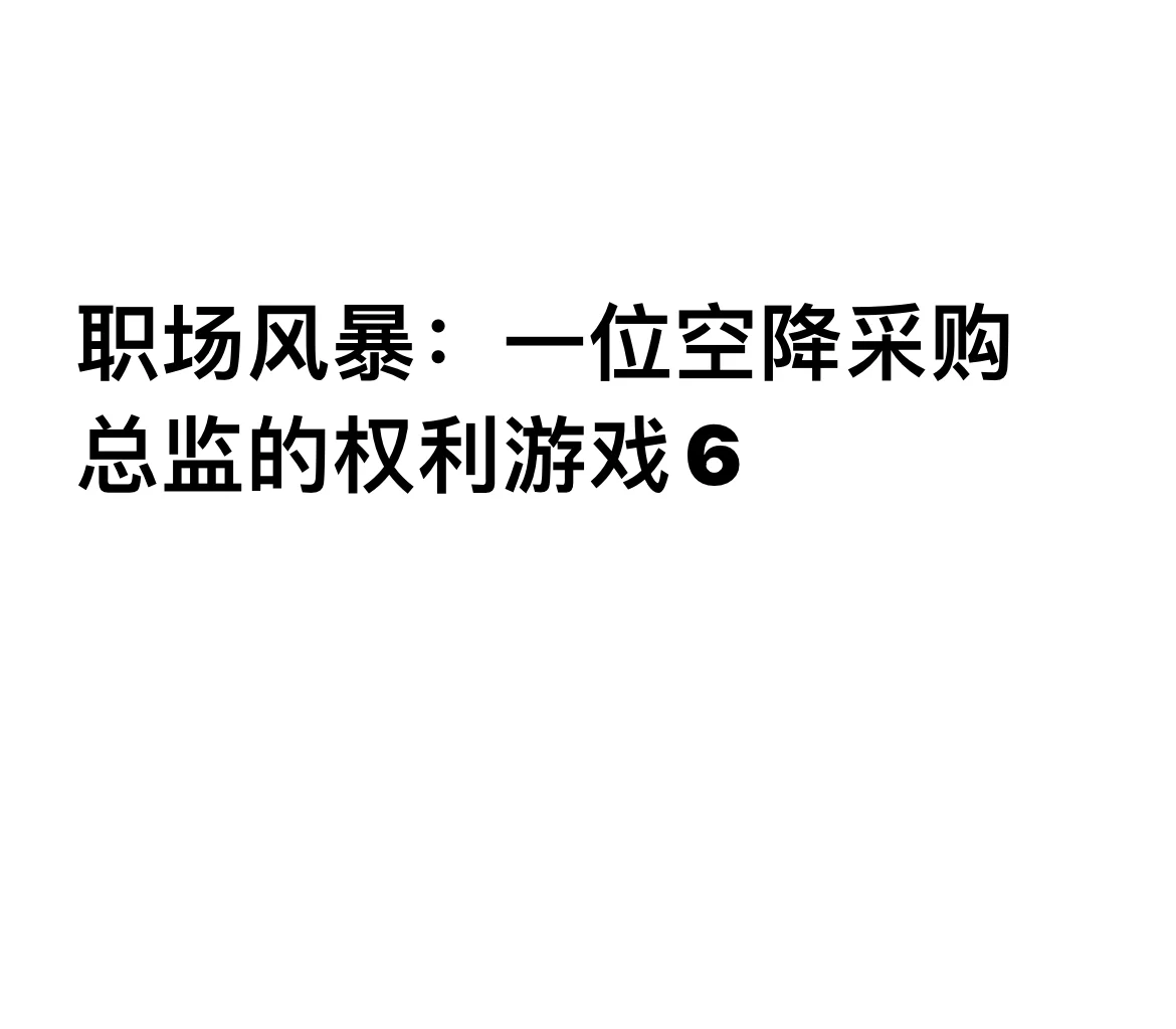 职场风暴：一位空降采购总监的权力游戏6