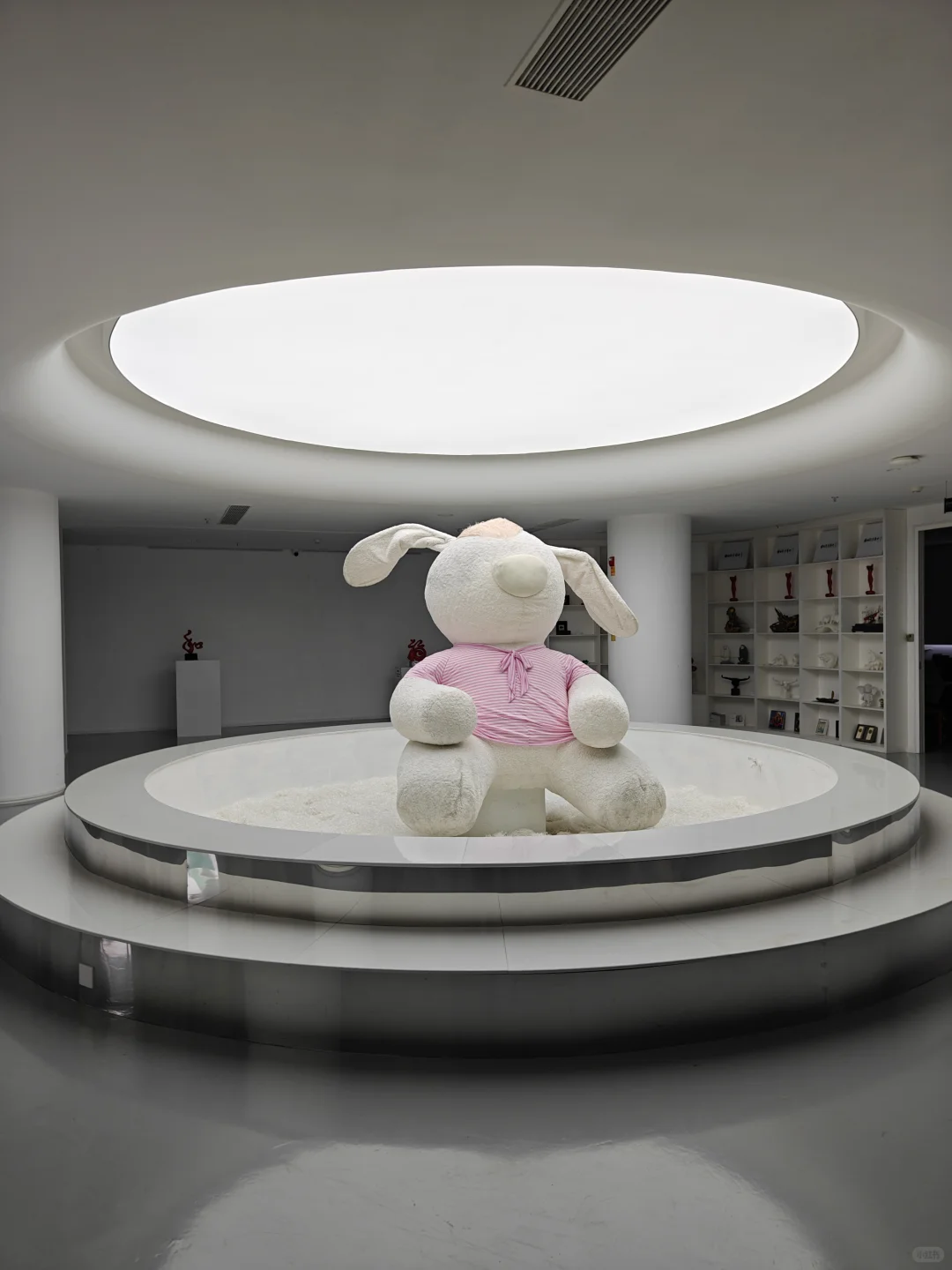 厦门遛娃｜推荐一个冷门免费但超级好拍的展